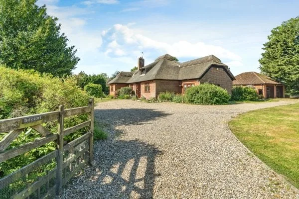 Vineyard in sunshine