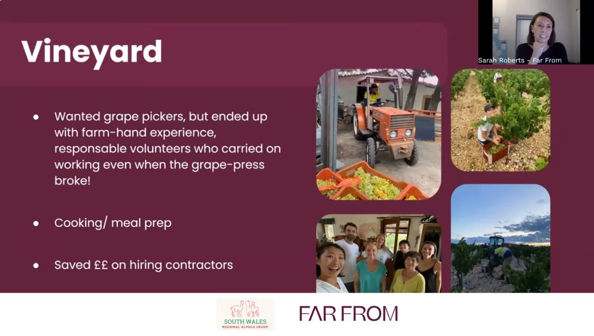 Sarah talked farm owners through her time spent working-for-accommodation on a vineyard
