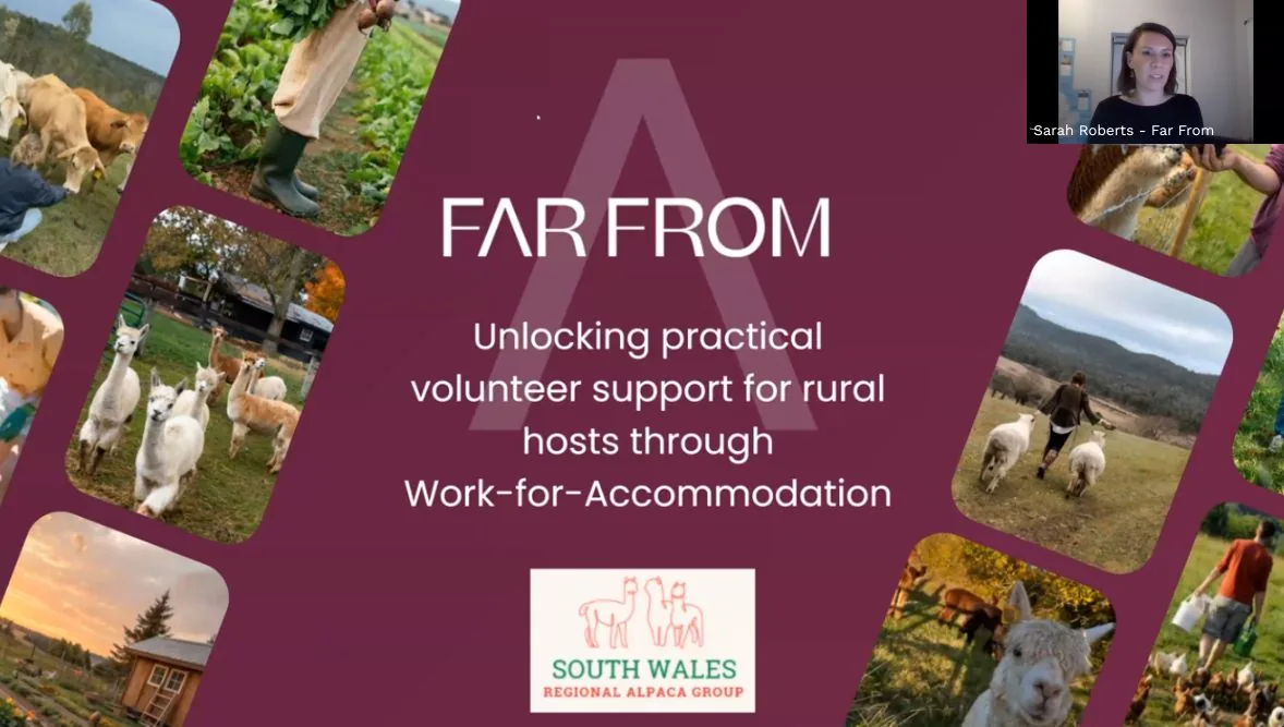 Work for accommodation with alpacas: insights from our SWRAG webinar