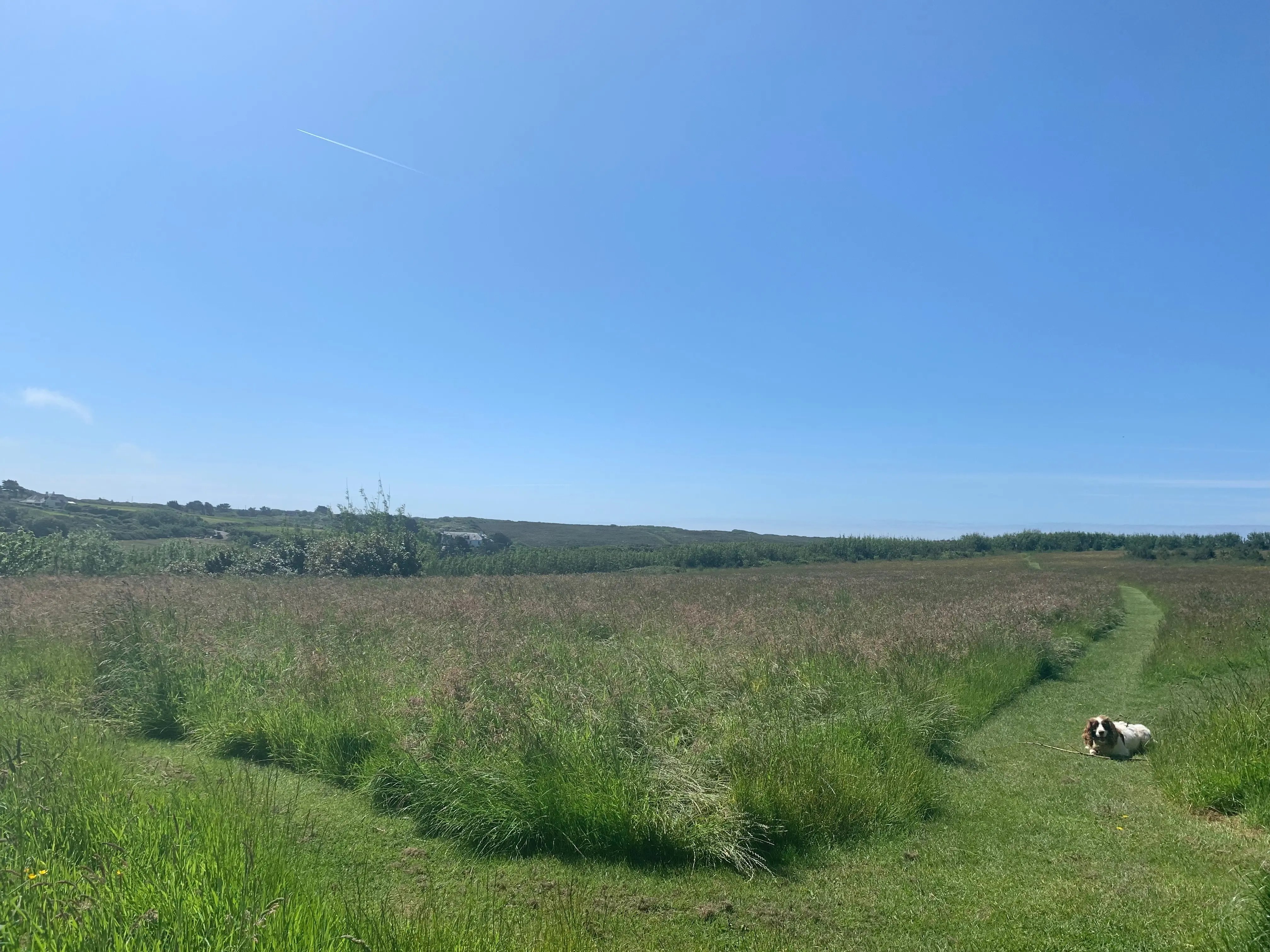 Holiday cottage in Cornwall - Thumbnail 8