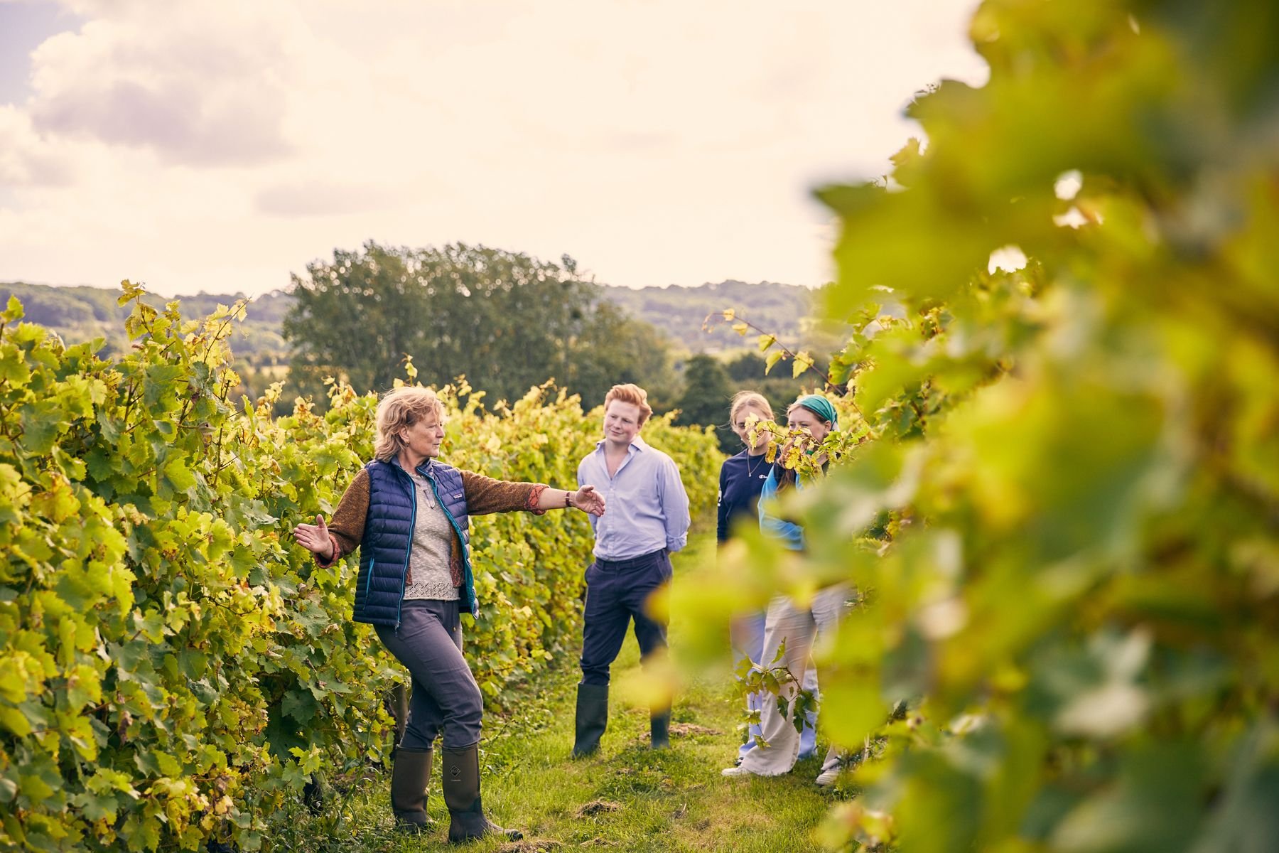 Rural vineyard in Herefordshire - Thumbnail 11