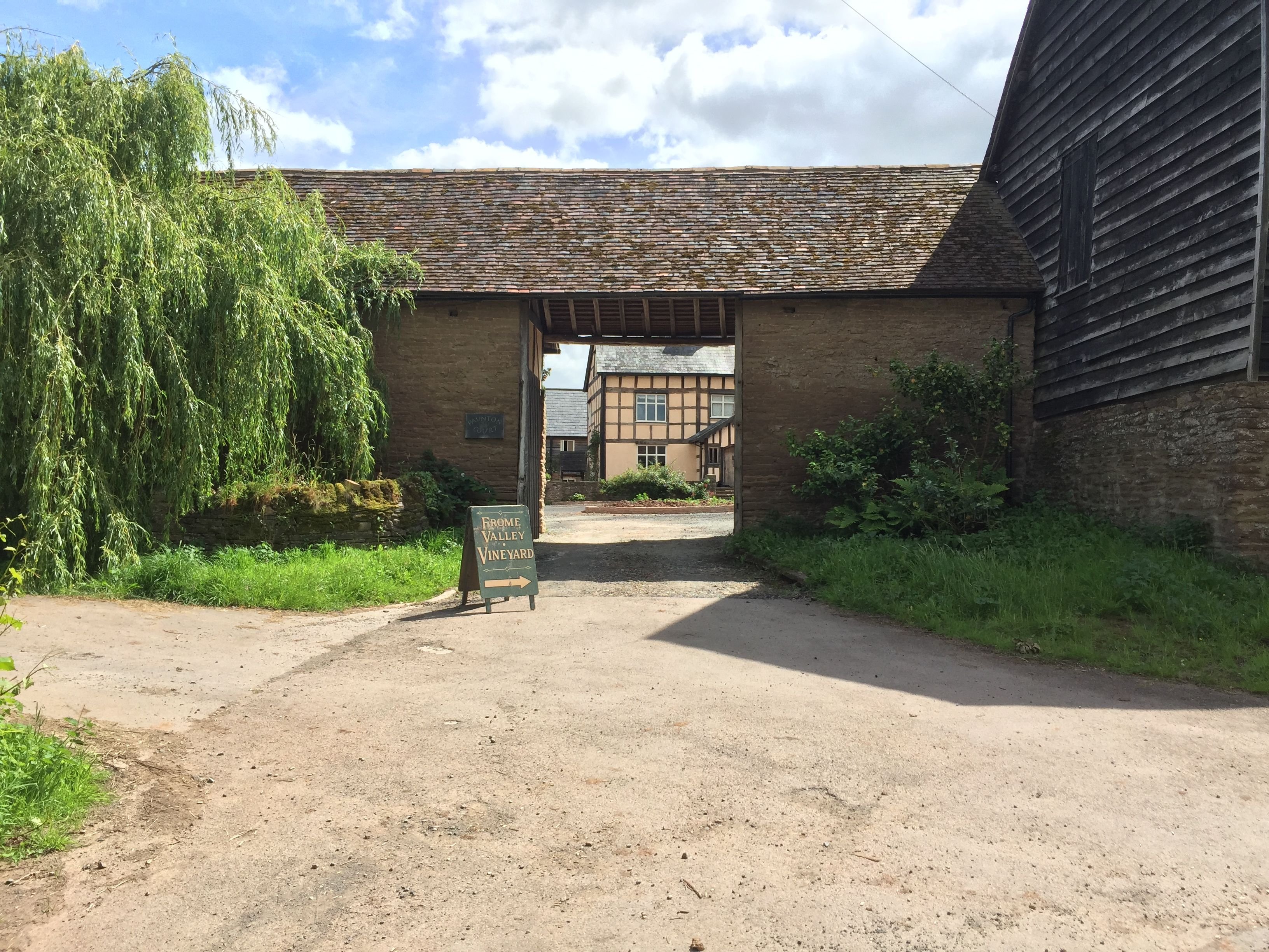 Rural vineyard in Herefordshire - Thumbnail 7
