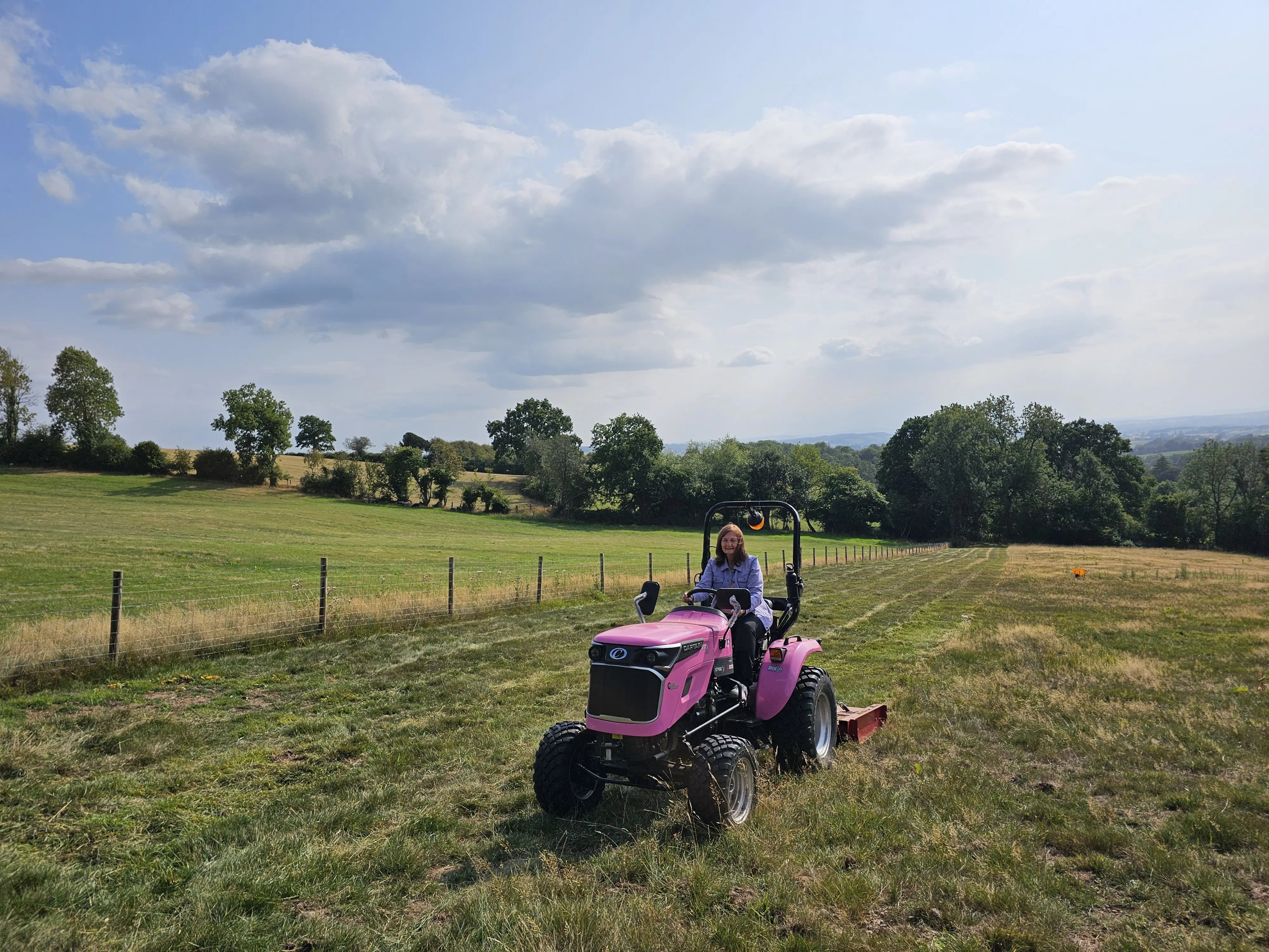 Country house in Shropshire wildlife - Thumbnail 8