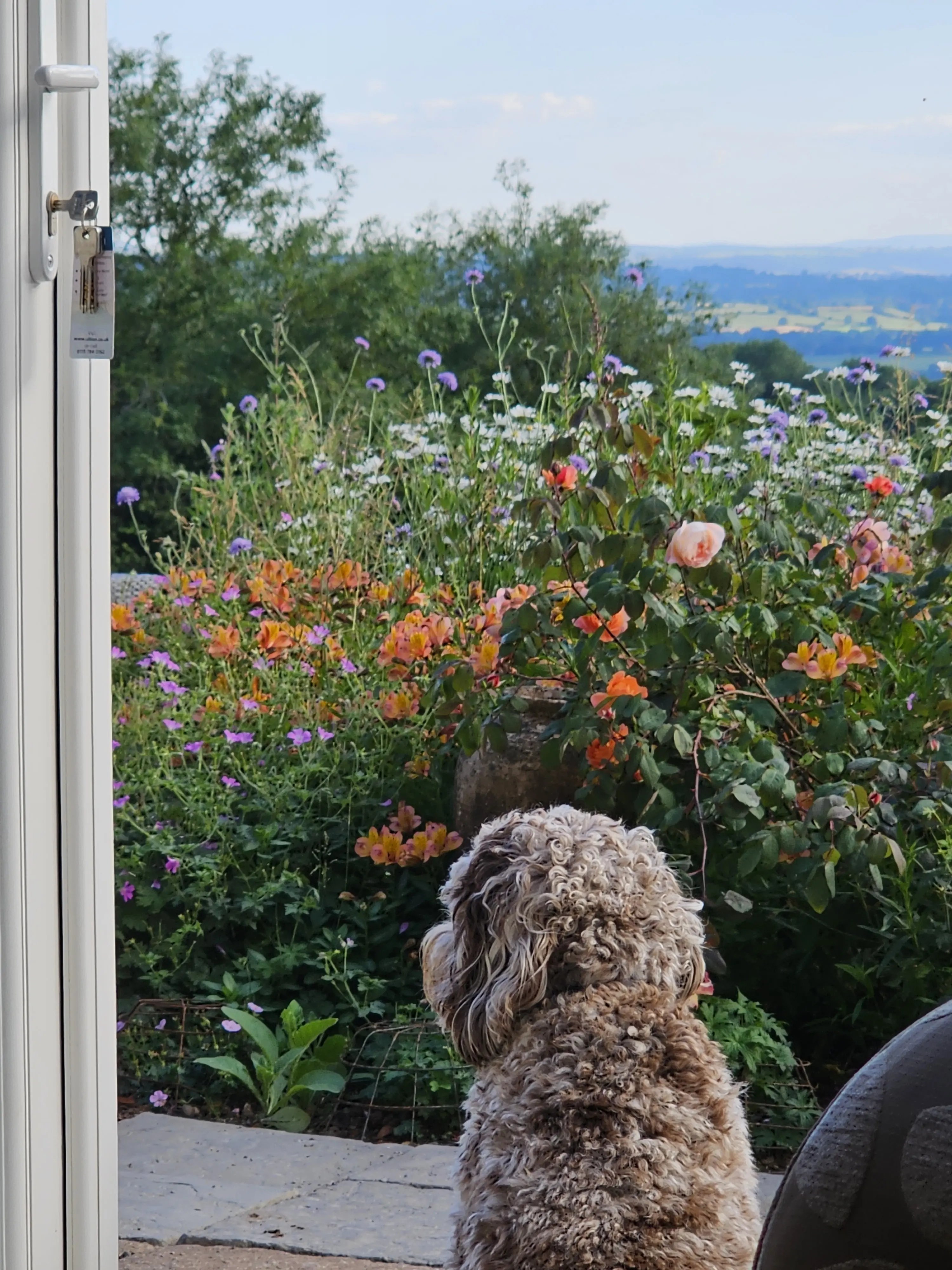 Country house in Shropshire wildlife - Thumbnail 9