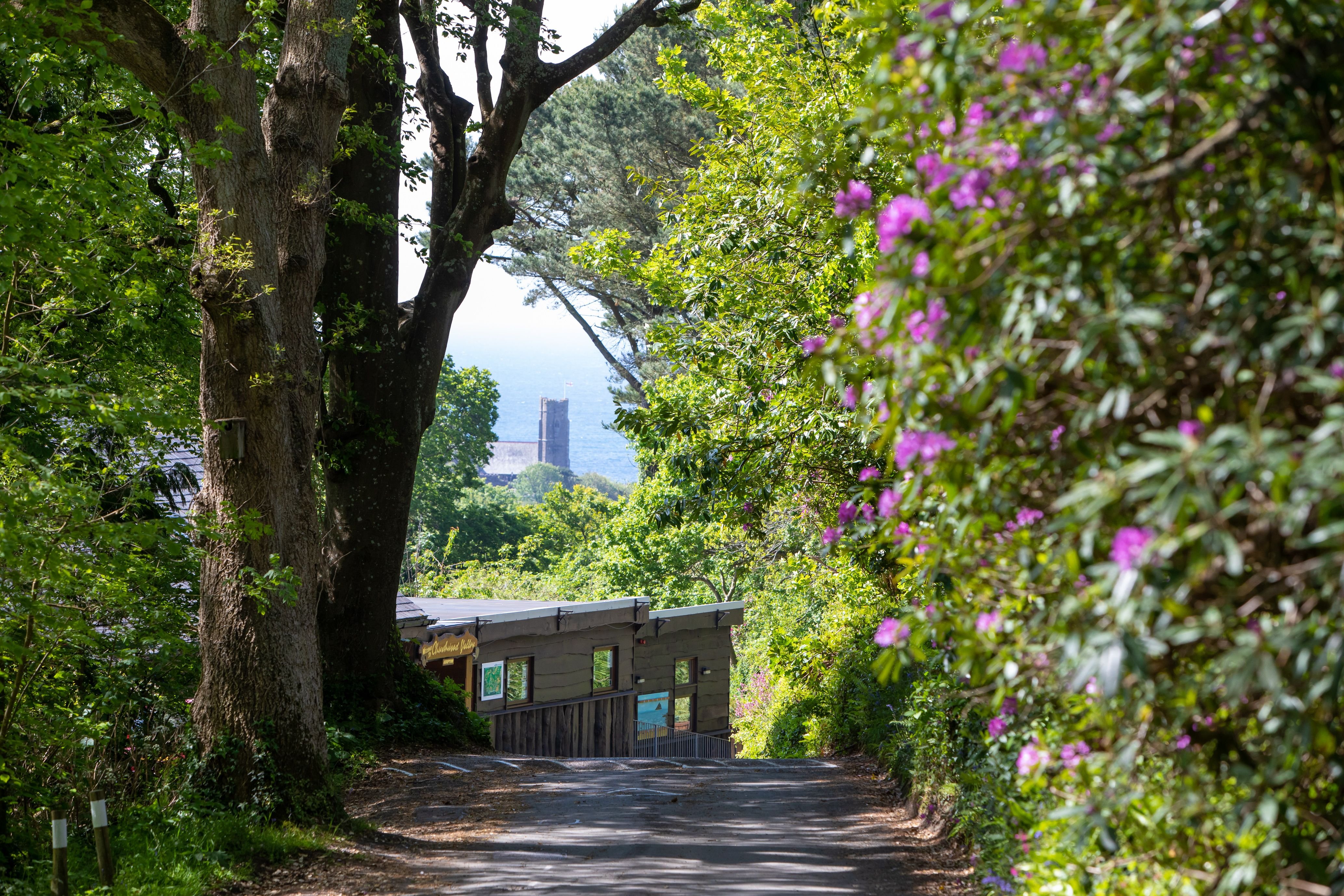 Holiday cabins by the Devon sea - Thumbnail 7