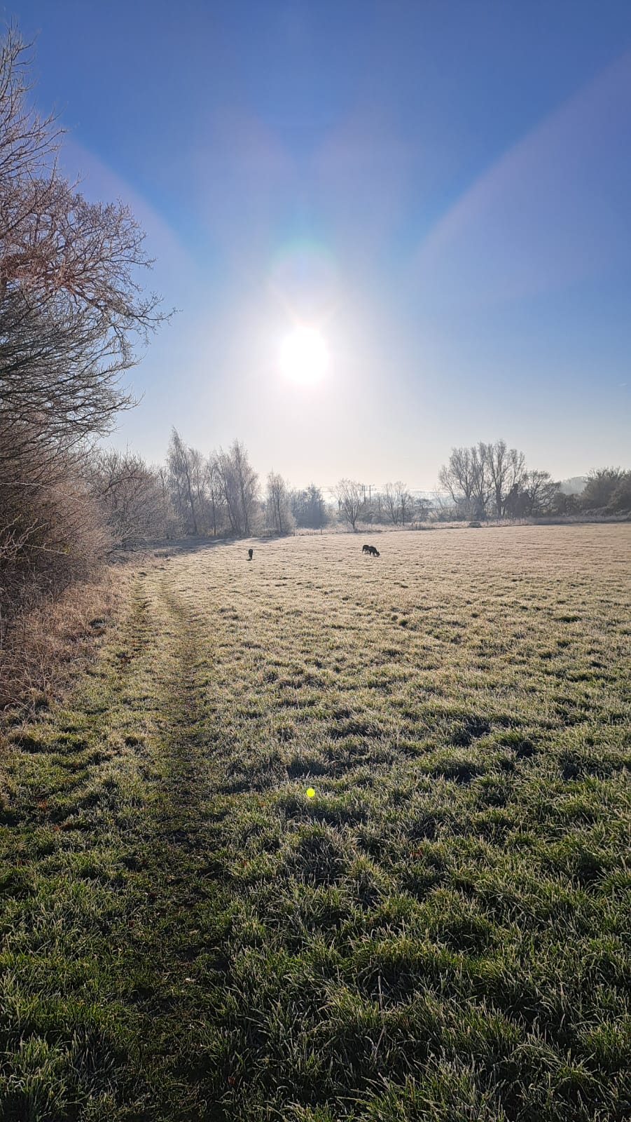 Rural, peaceful farmhouse - Thumbnail 7