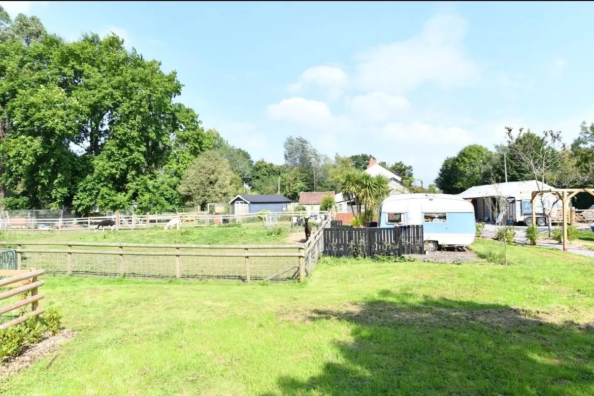 Glamping with Alpacas, rural Wales - Thumbnail 9