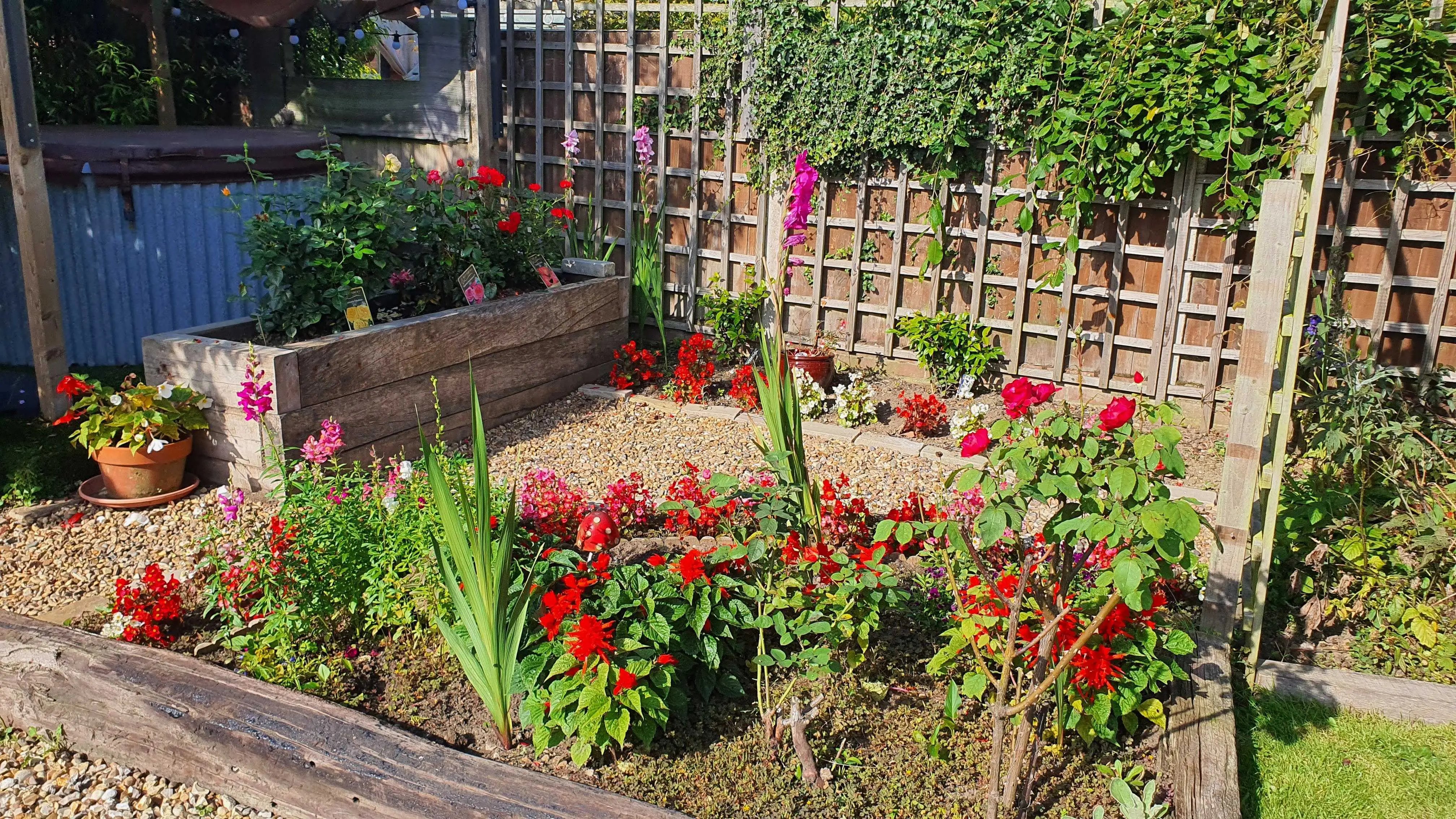 Norwich homestay needs garden help - Thumbnail 9