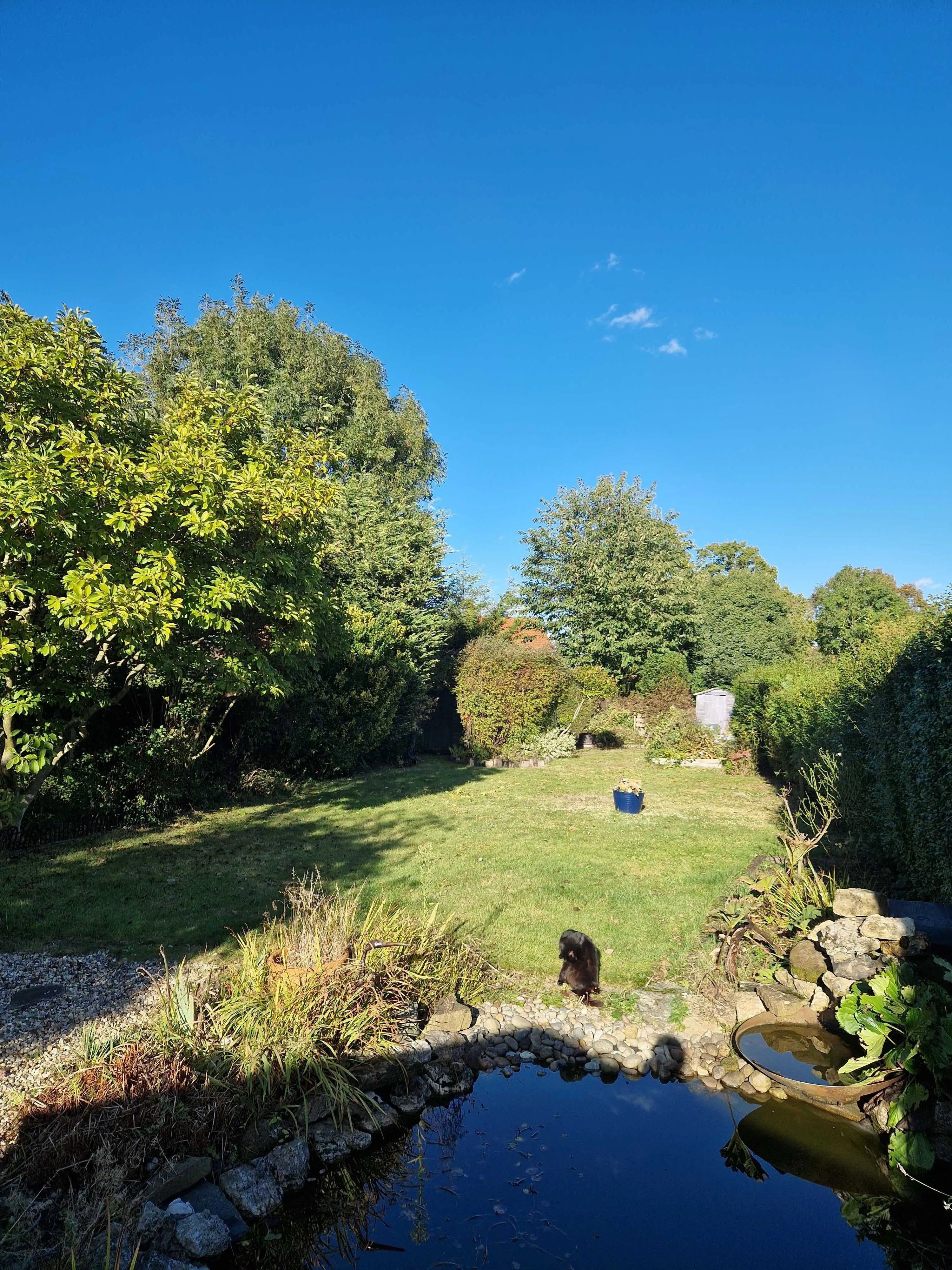 Norwich homestay needs garden help - Thumbnail 13