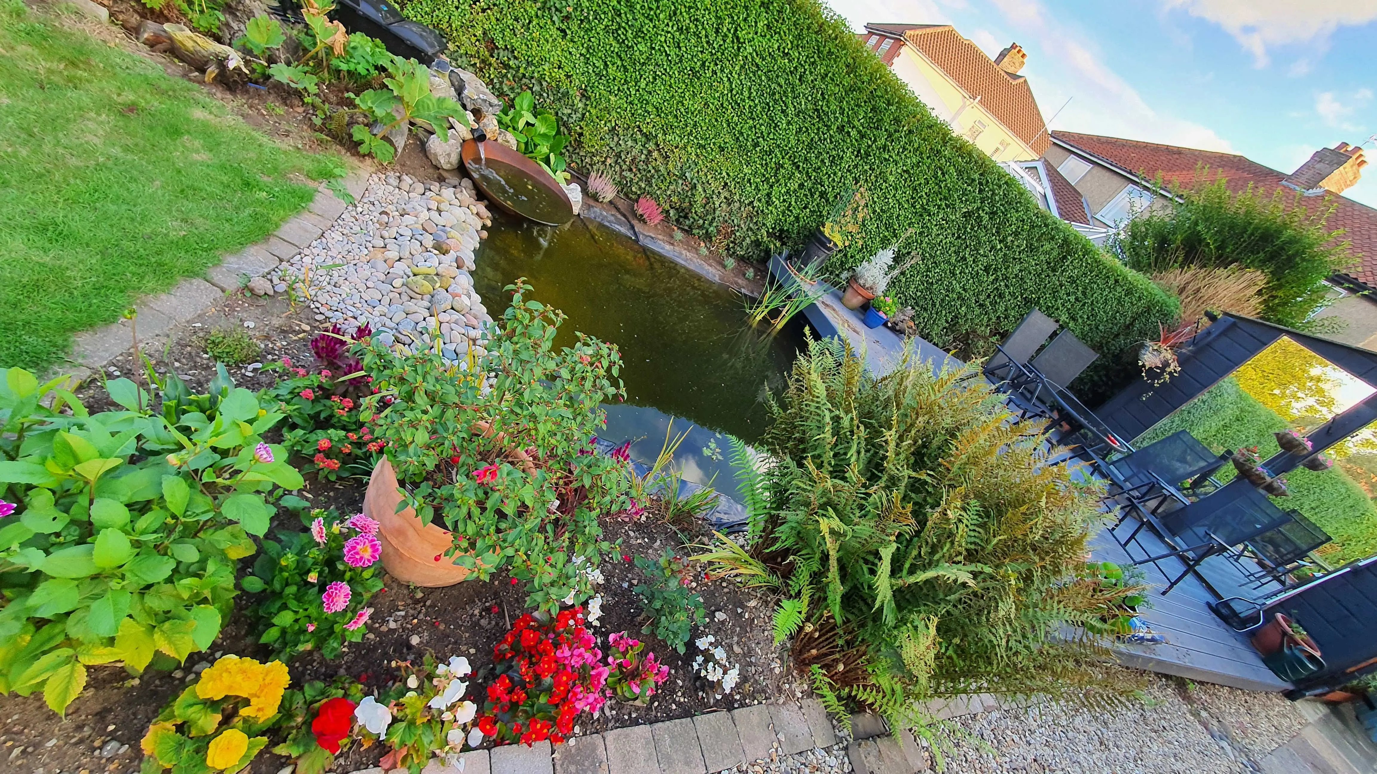 Norwich homestay needs garden help - Thumbnail 11