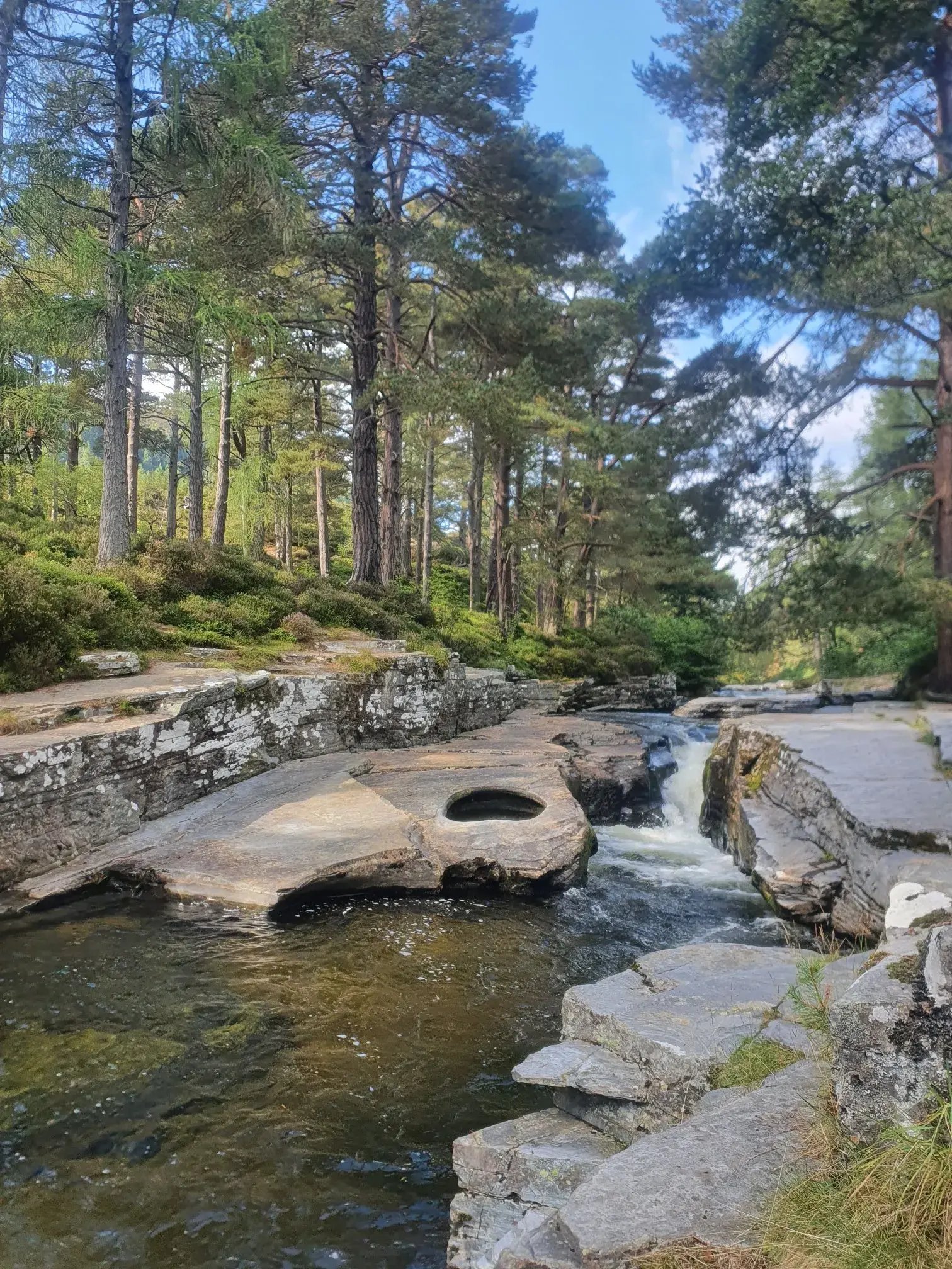Rural homestay, Cairngorms National Park - Thumbnail 12