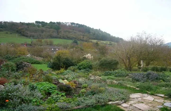 Retreat centre near Glastonbury - Thumbnail 5