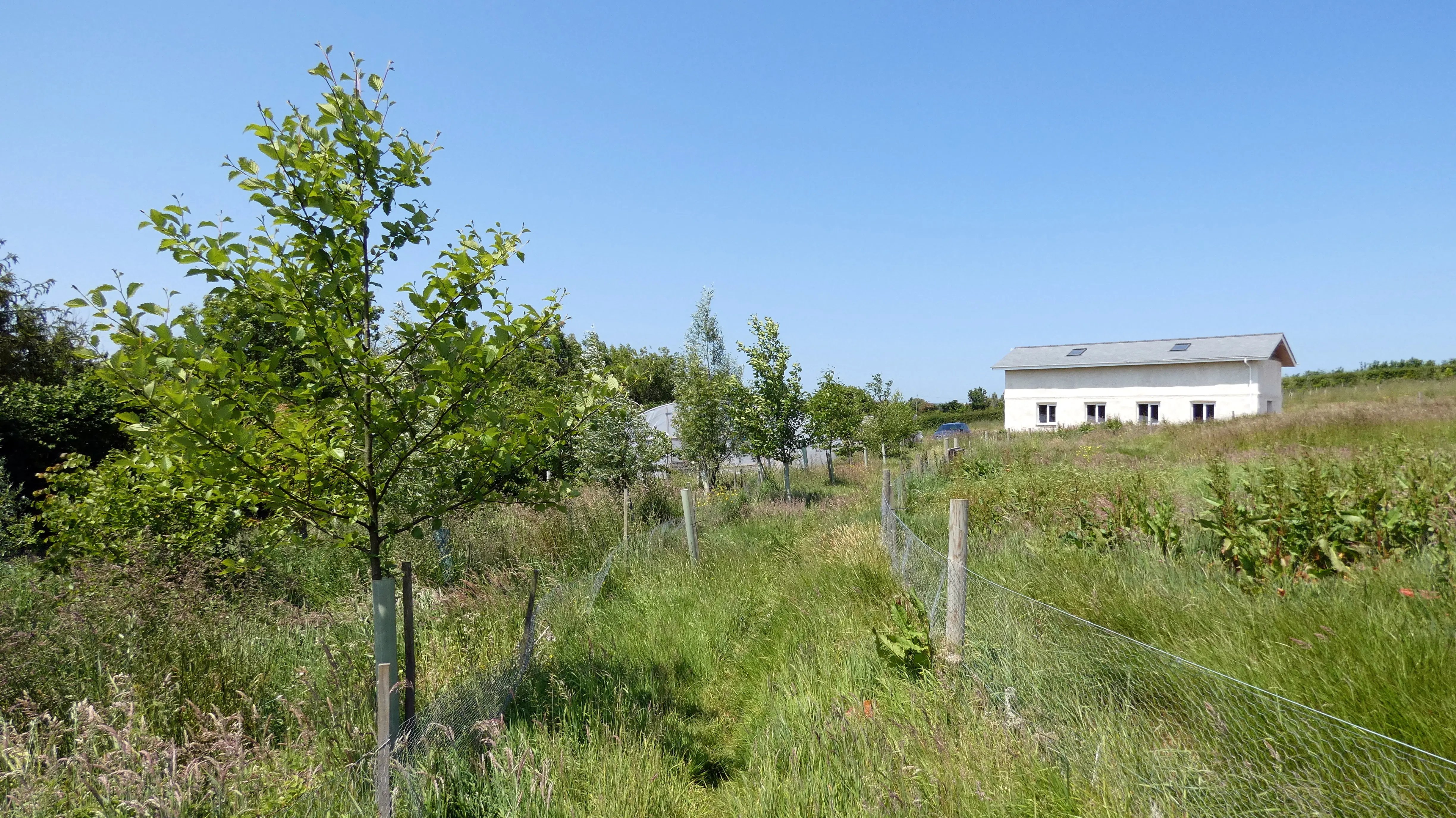 Agro-ecological forest garden, Devon - Thumbnail 1