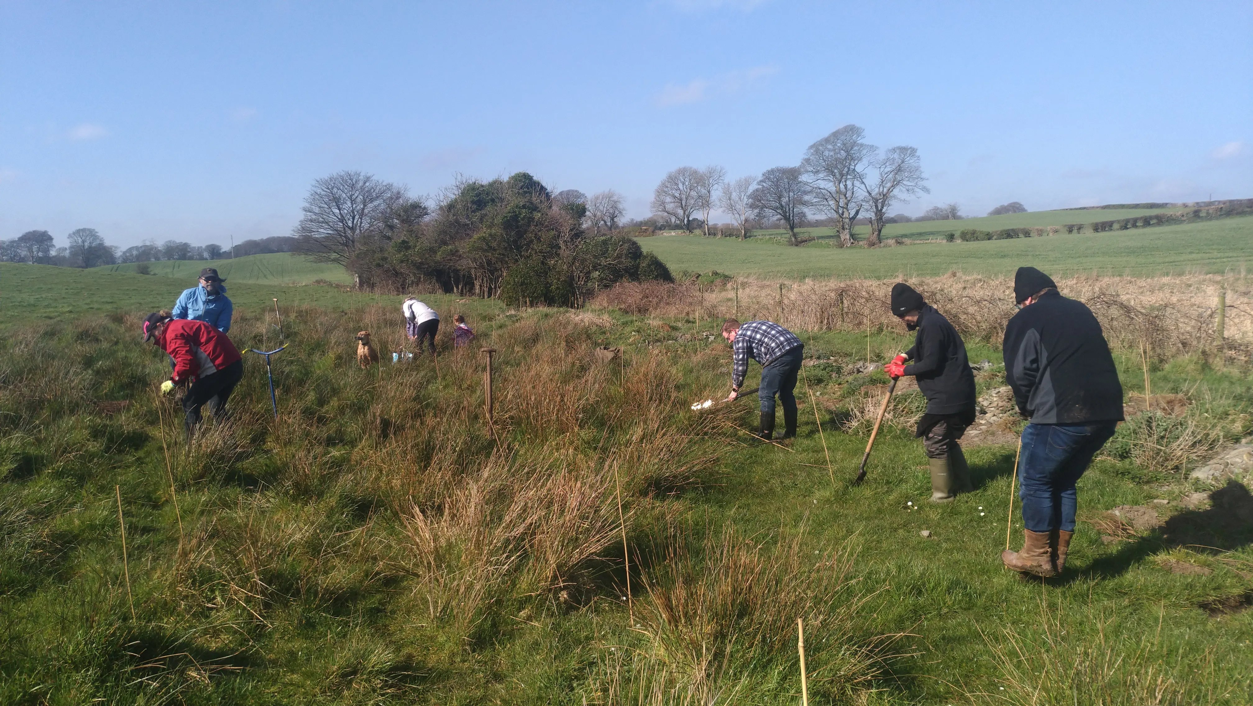 Smallholding, rural Northern Ireland - Thumbnail 11