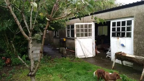 Smallholding, rural Northern Ireland - Thumbnail 3