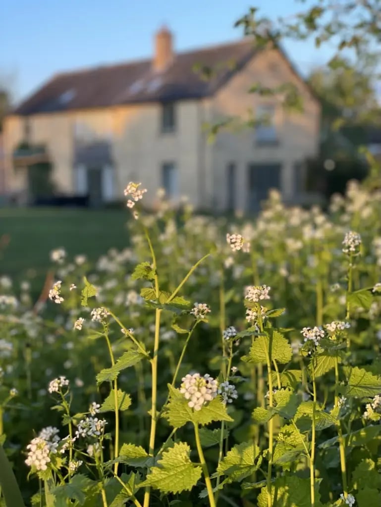 Rural retreat in Cambridge - Thumbnail 4