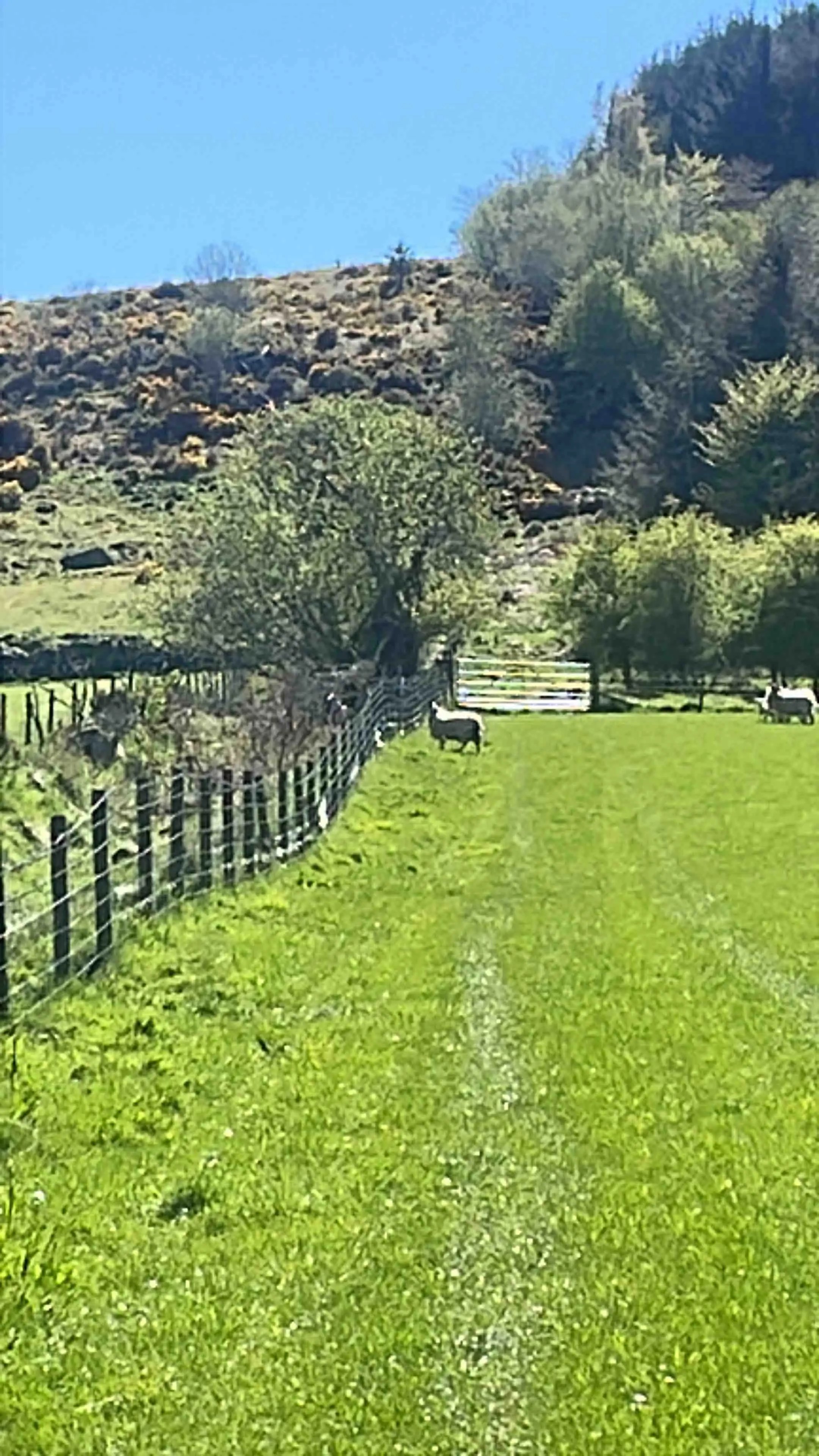 Aberdeen Farmstay - Thumbnail 8