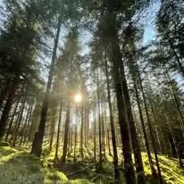 Hotel and Lodges, Scotland - Thumbnail 10