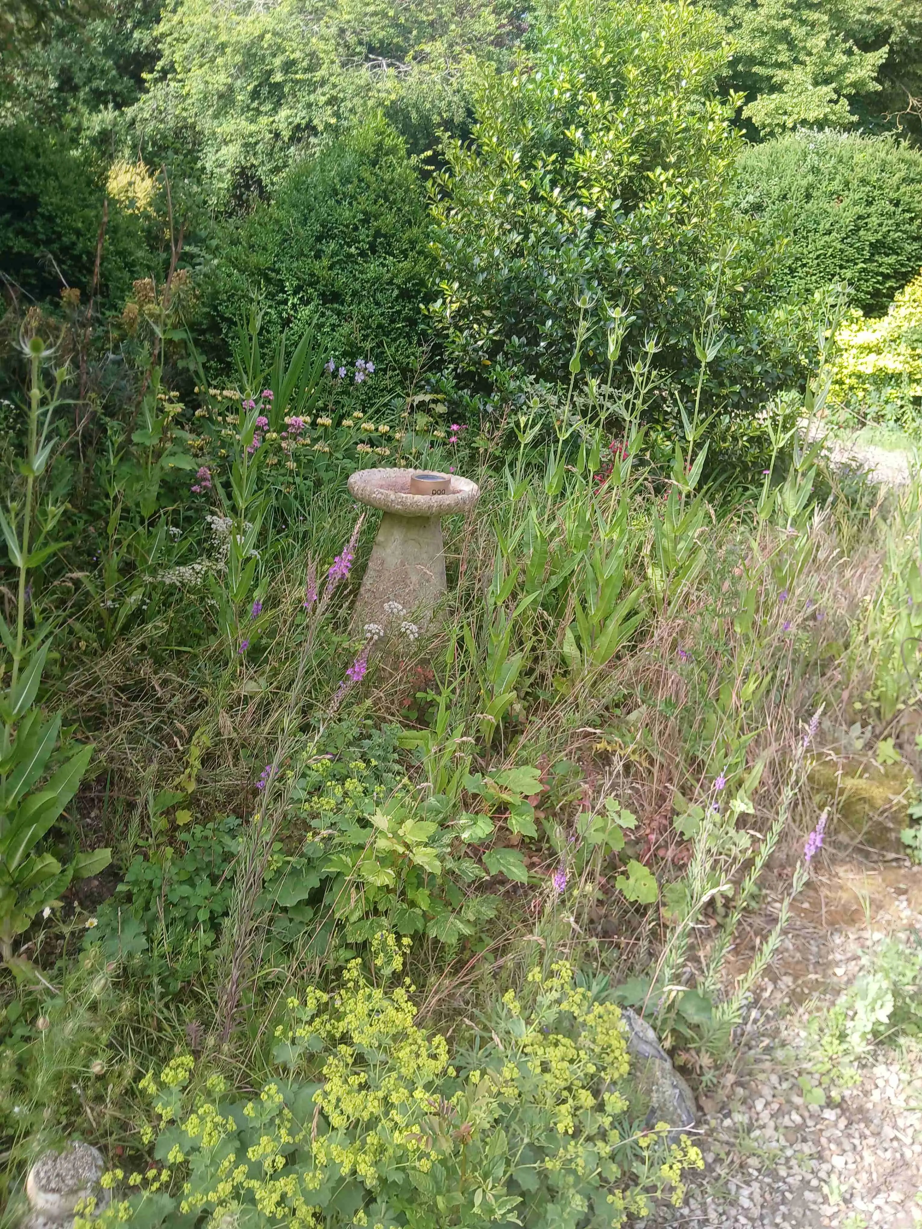 North Norfolk near Wells-next-the-Sea - Thumbnail 6