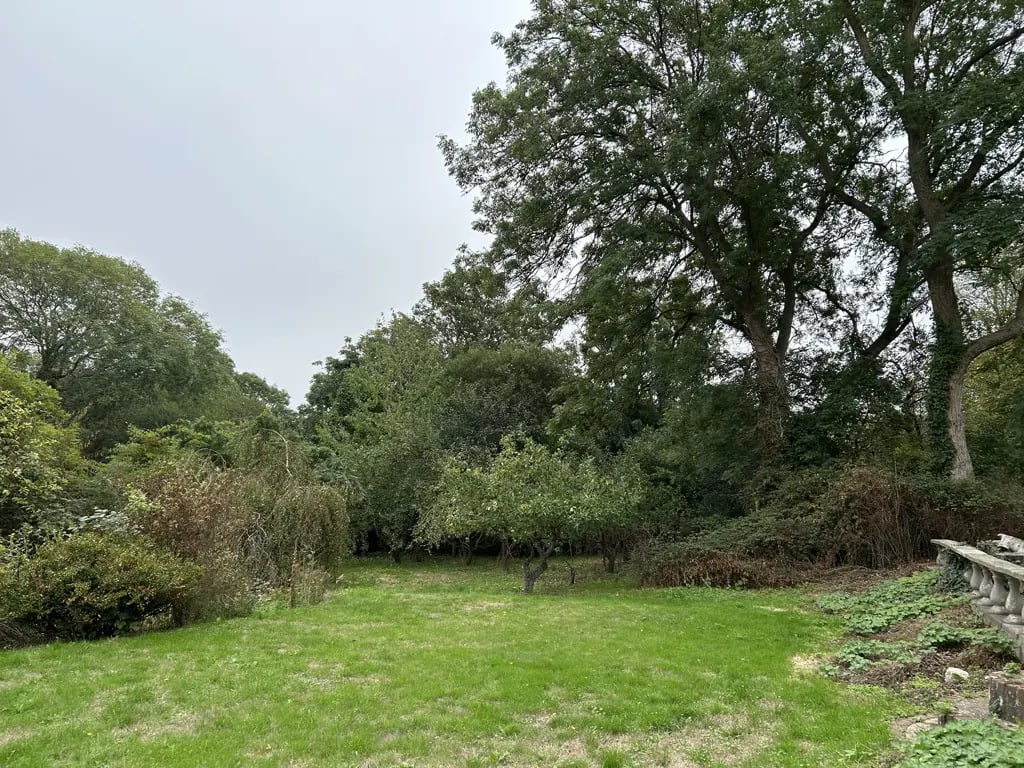 Alpaca farm on the Isle of Wight - Thumbnail 8