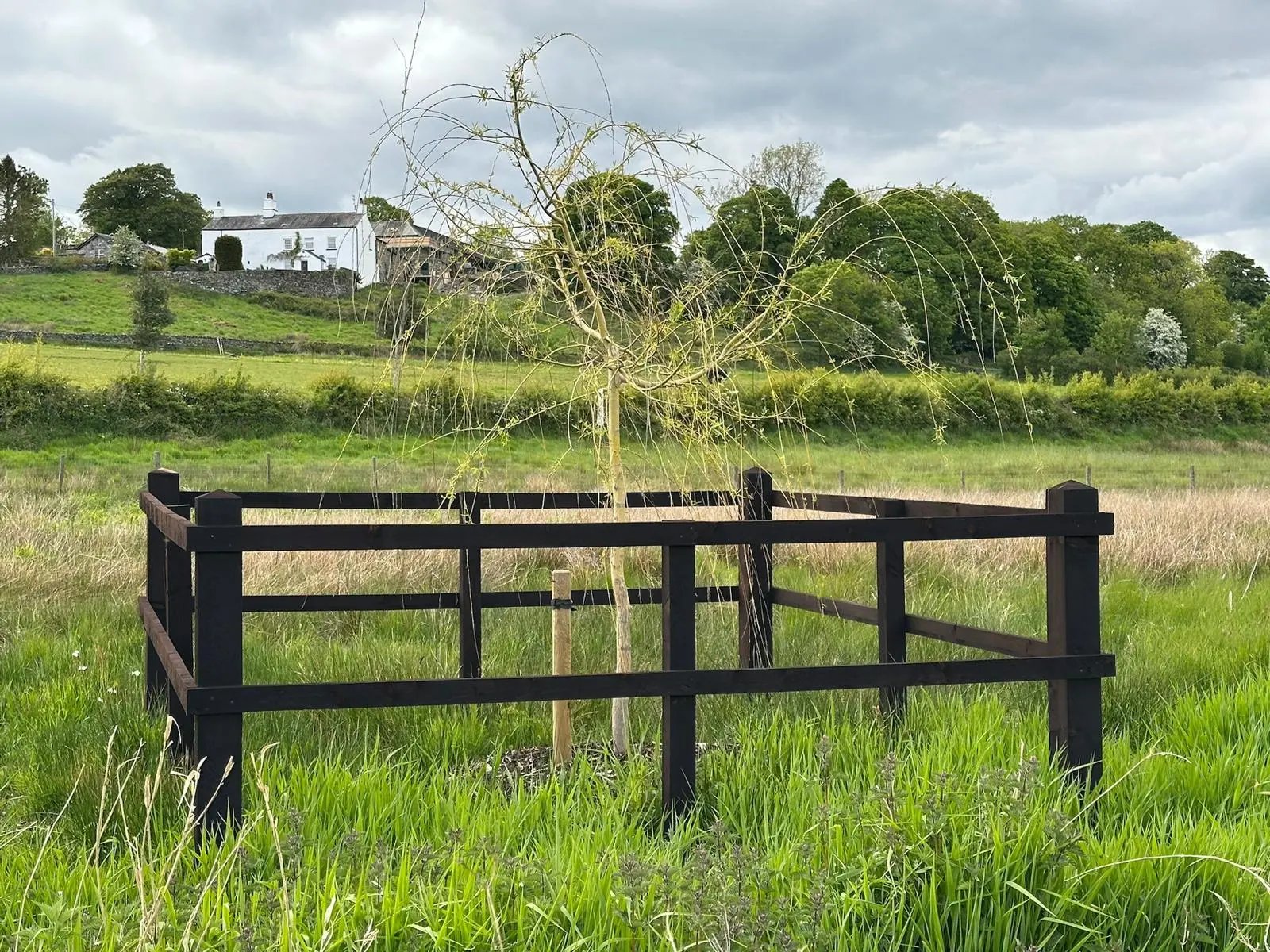 Peaceful. Welcoming. Family Farm Estate - Thumbnail 10