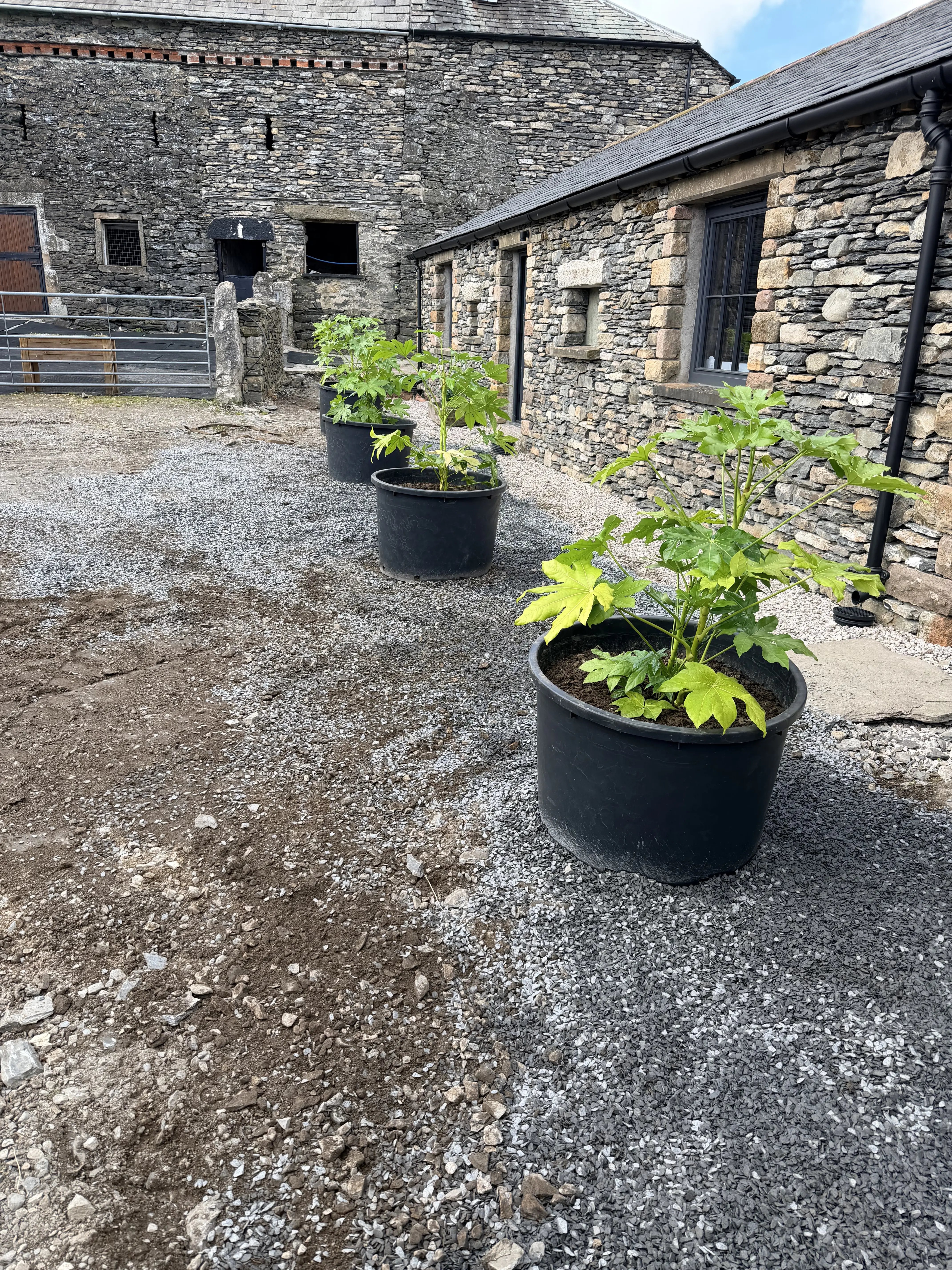Peaceful. Welcoming. Family Farm Estate - Thumbnail 20