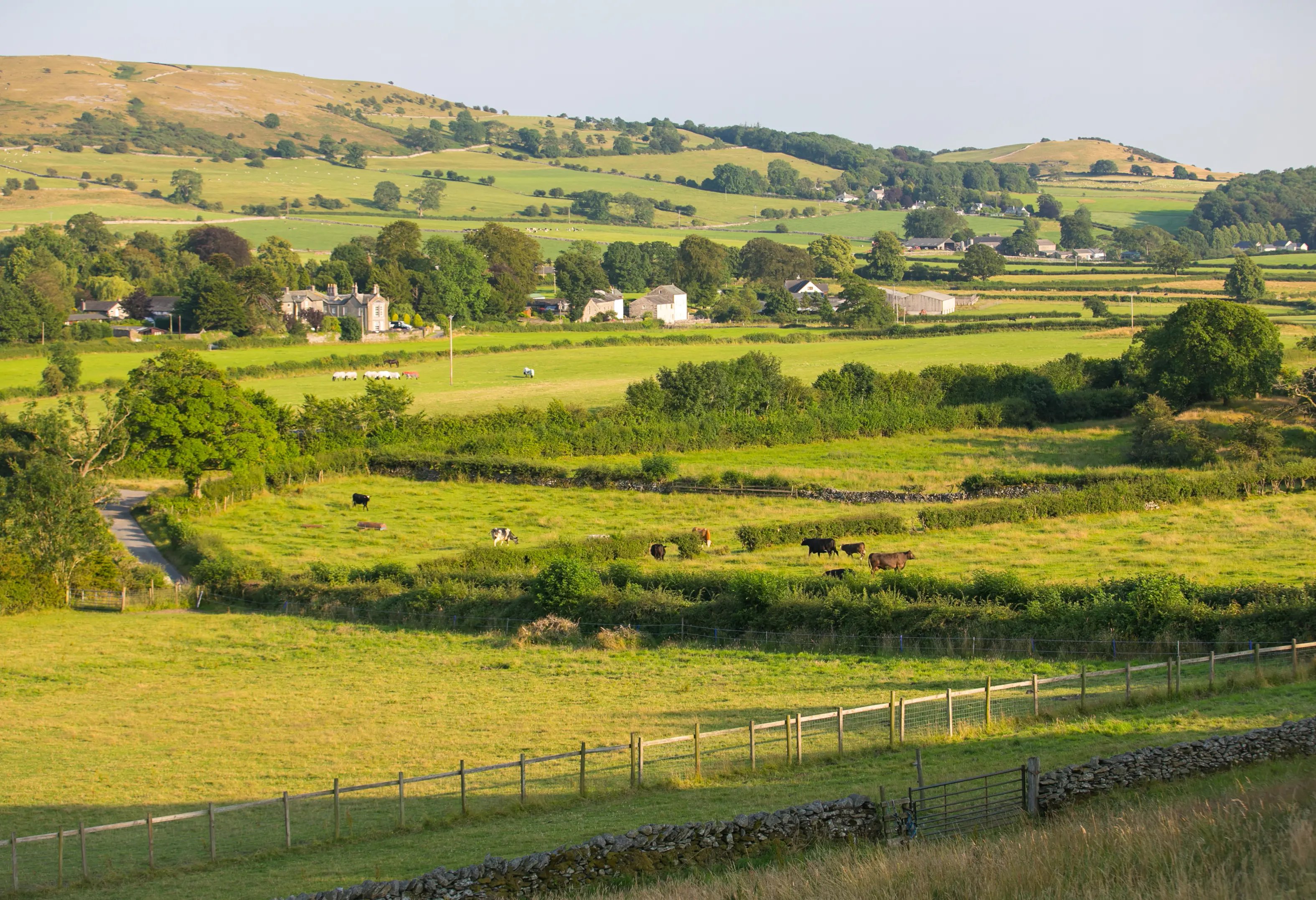 Peaceful. Welcoming. Family Farm Estate - Thumbnail 3