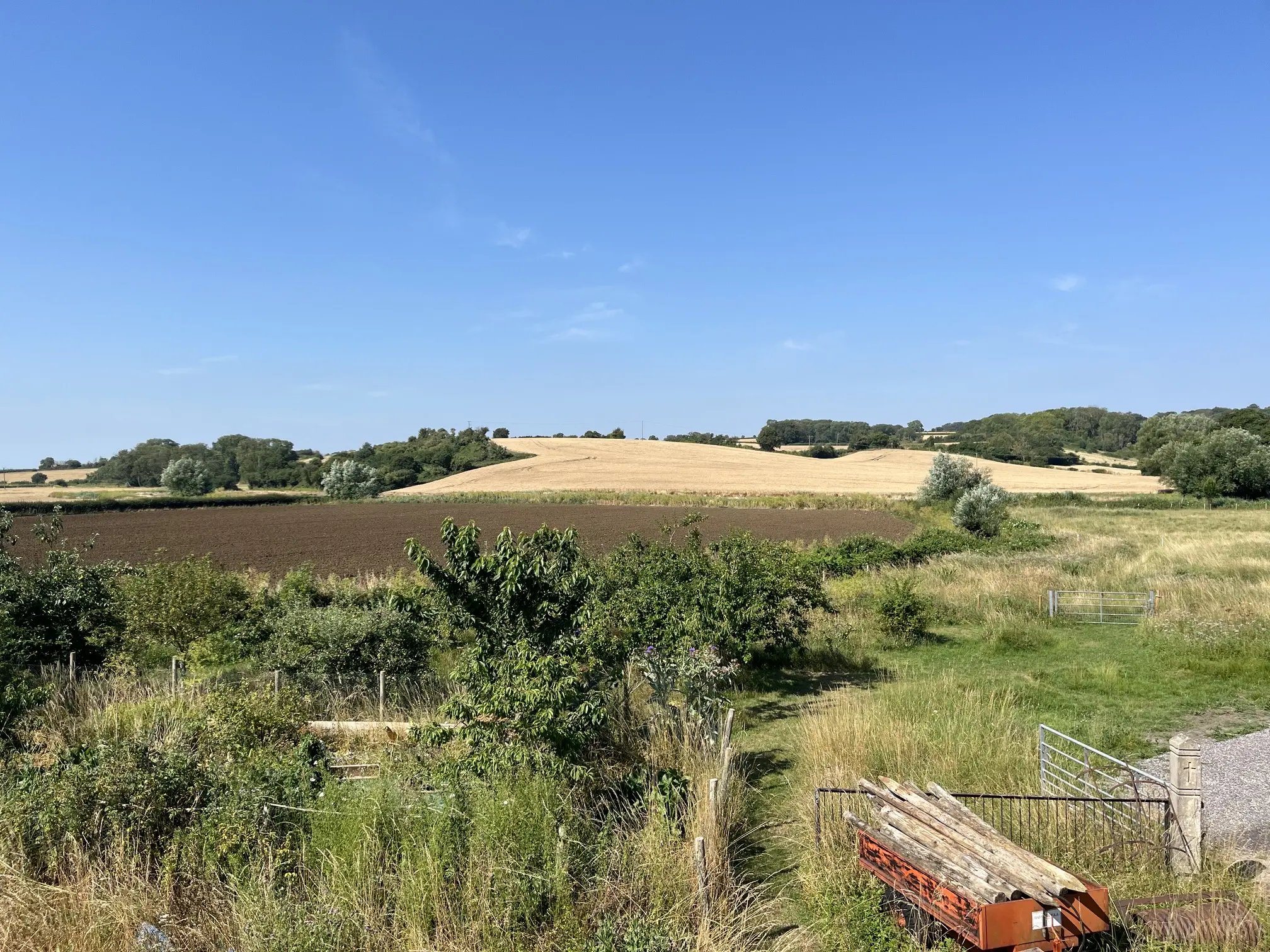 Re-Naturing and outdoor help, Somerset - Thumbnail 23