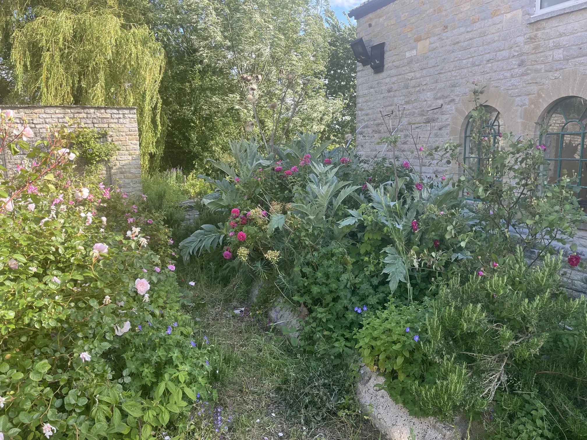 Re-Naturing and outdoor help, Somerset - Thumbnail 6