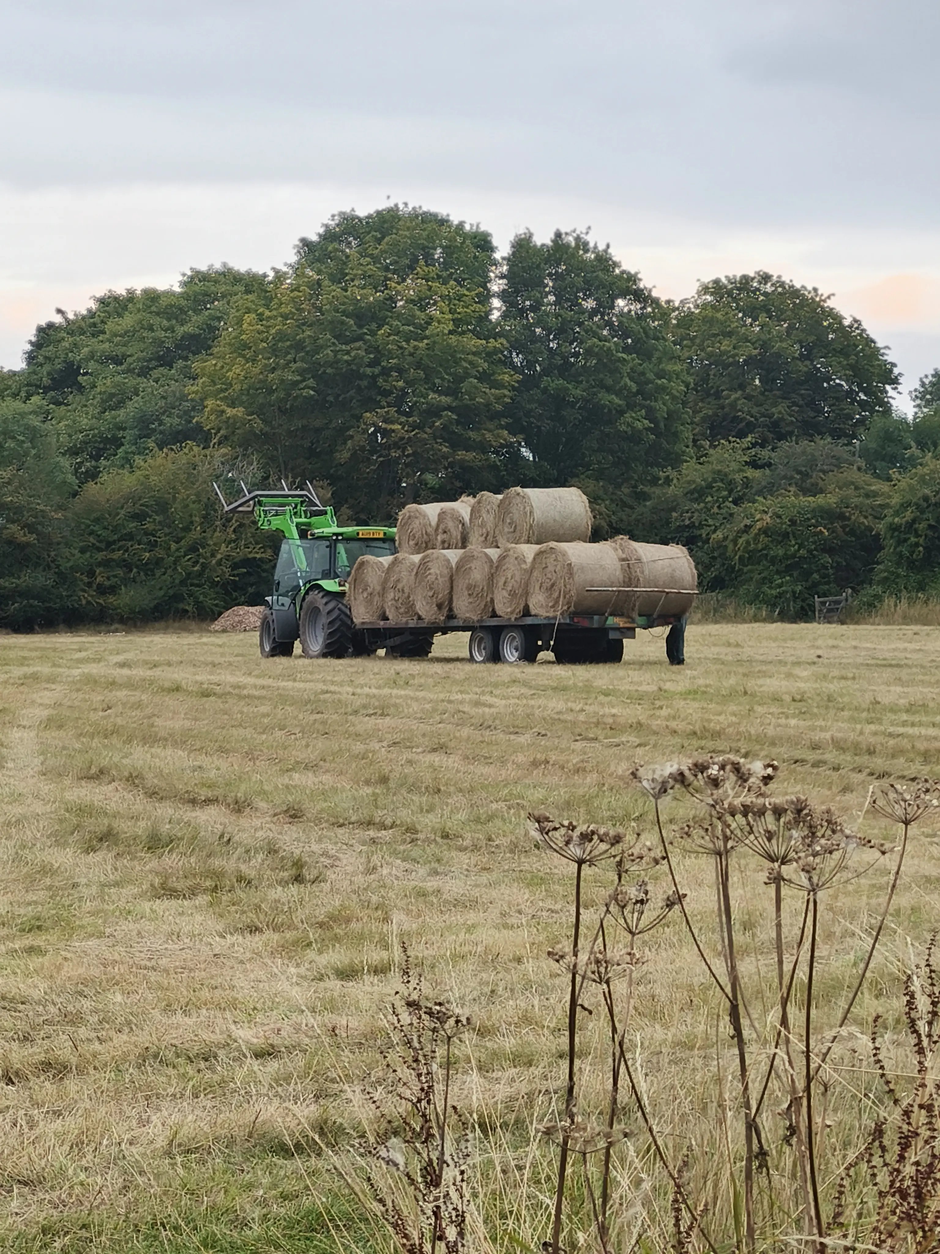 Rural getaway, Lincolnshire - Thumbnail 8