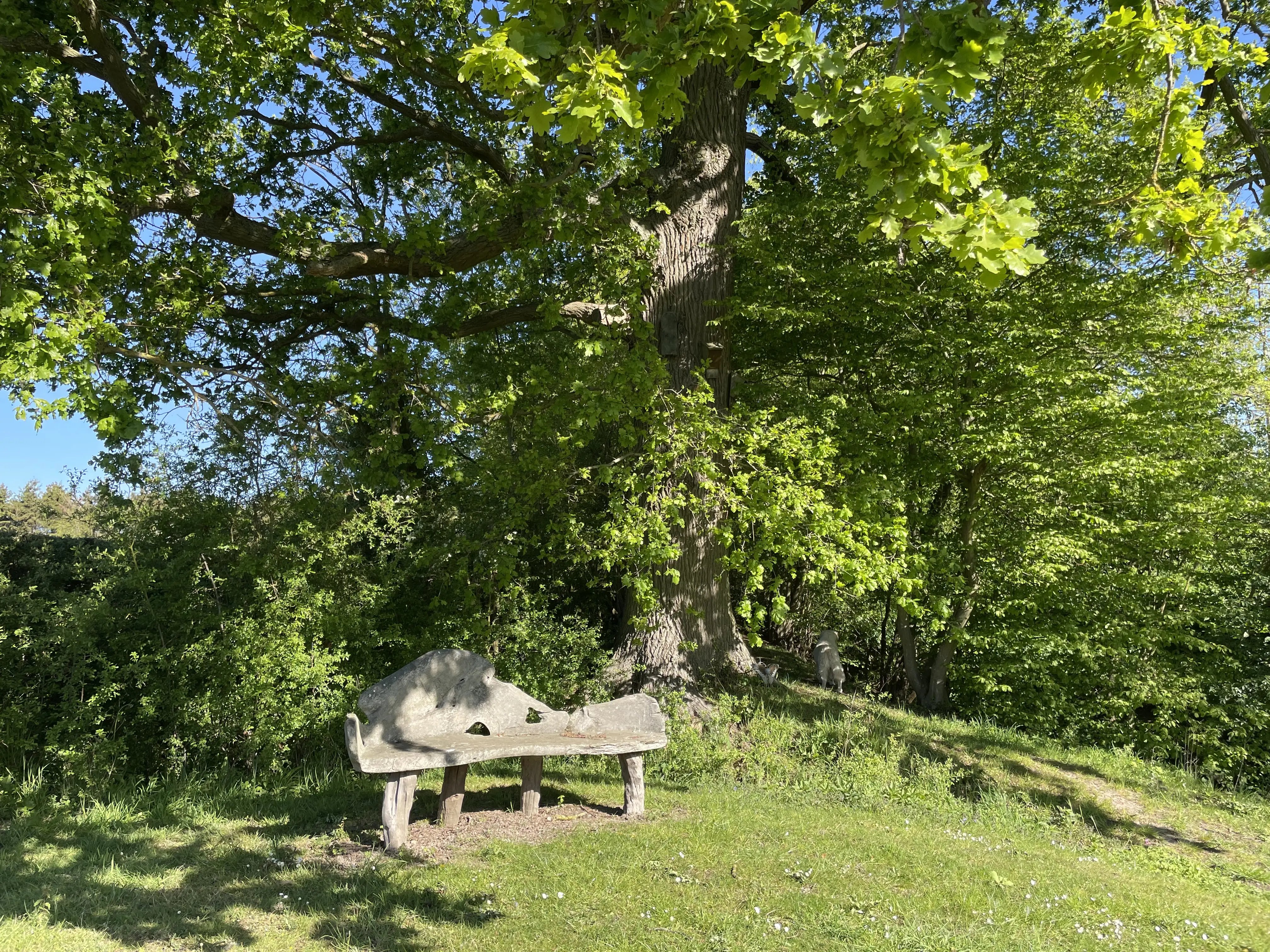 Retreat and animal farm, Essex - Thumbnail 23
