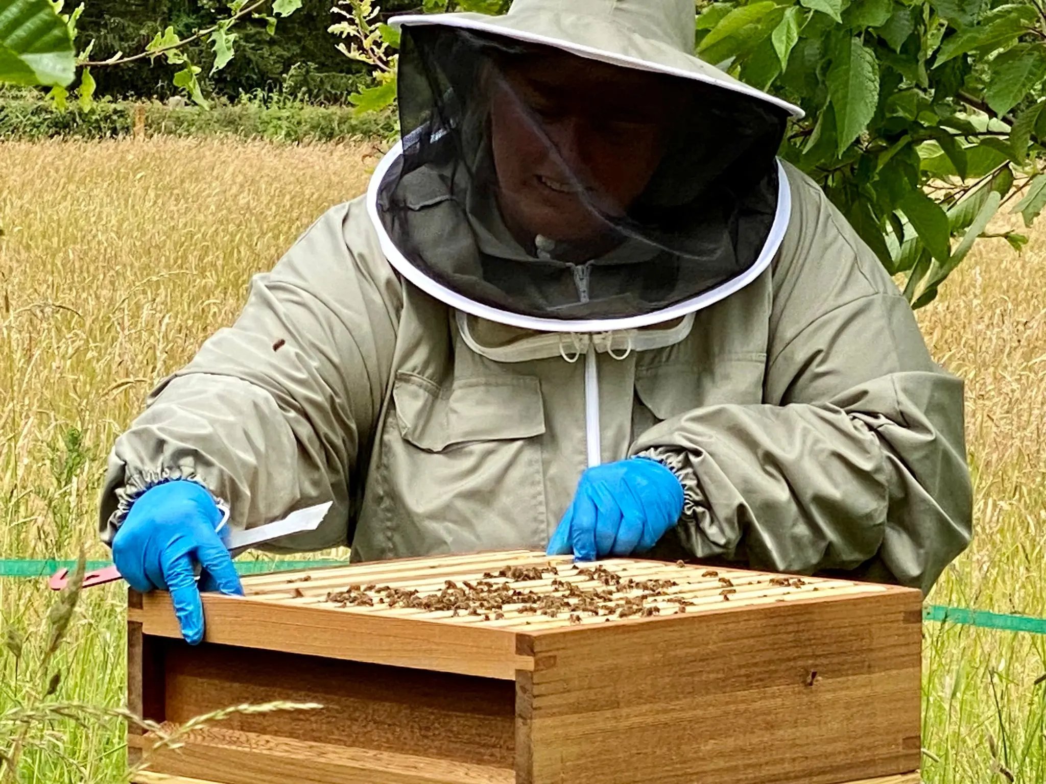 Retreat and animal farm, Essex - Thumbnail 22