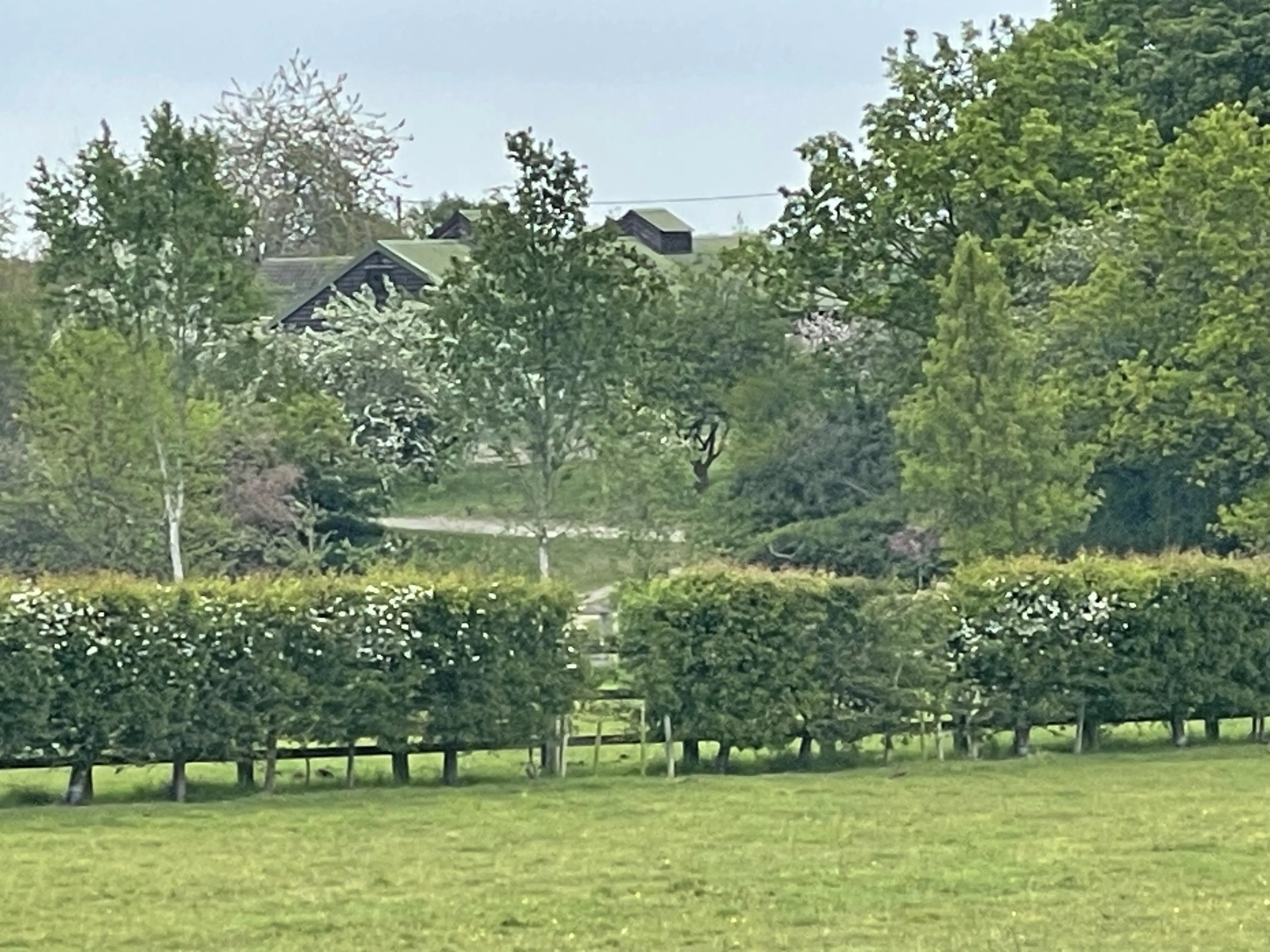 Retreat and animal farm, Essex - Thumbnail 28