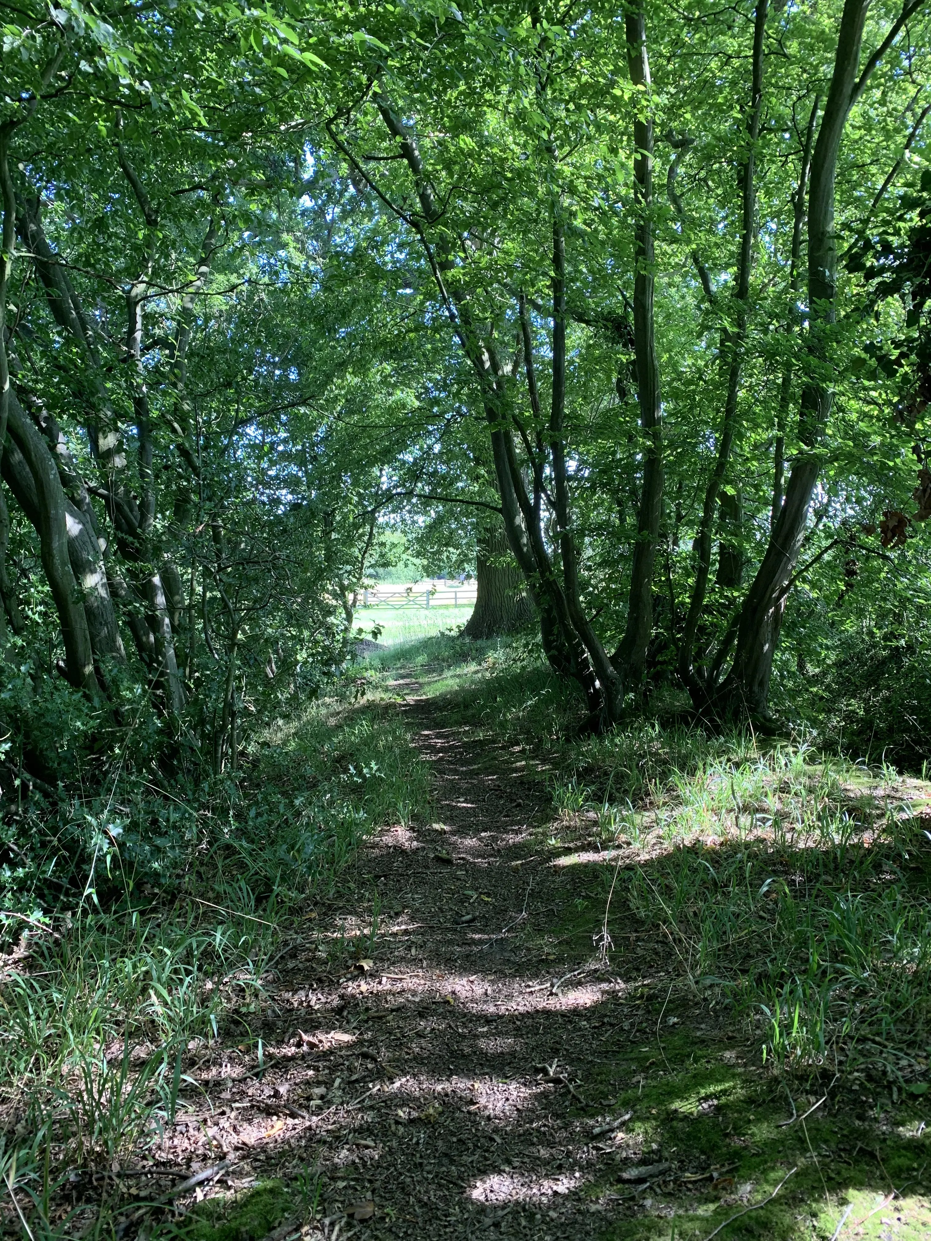 Retreat and animal farm, Essex - Thumbnail 25