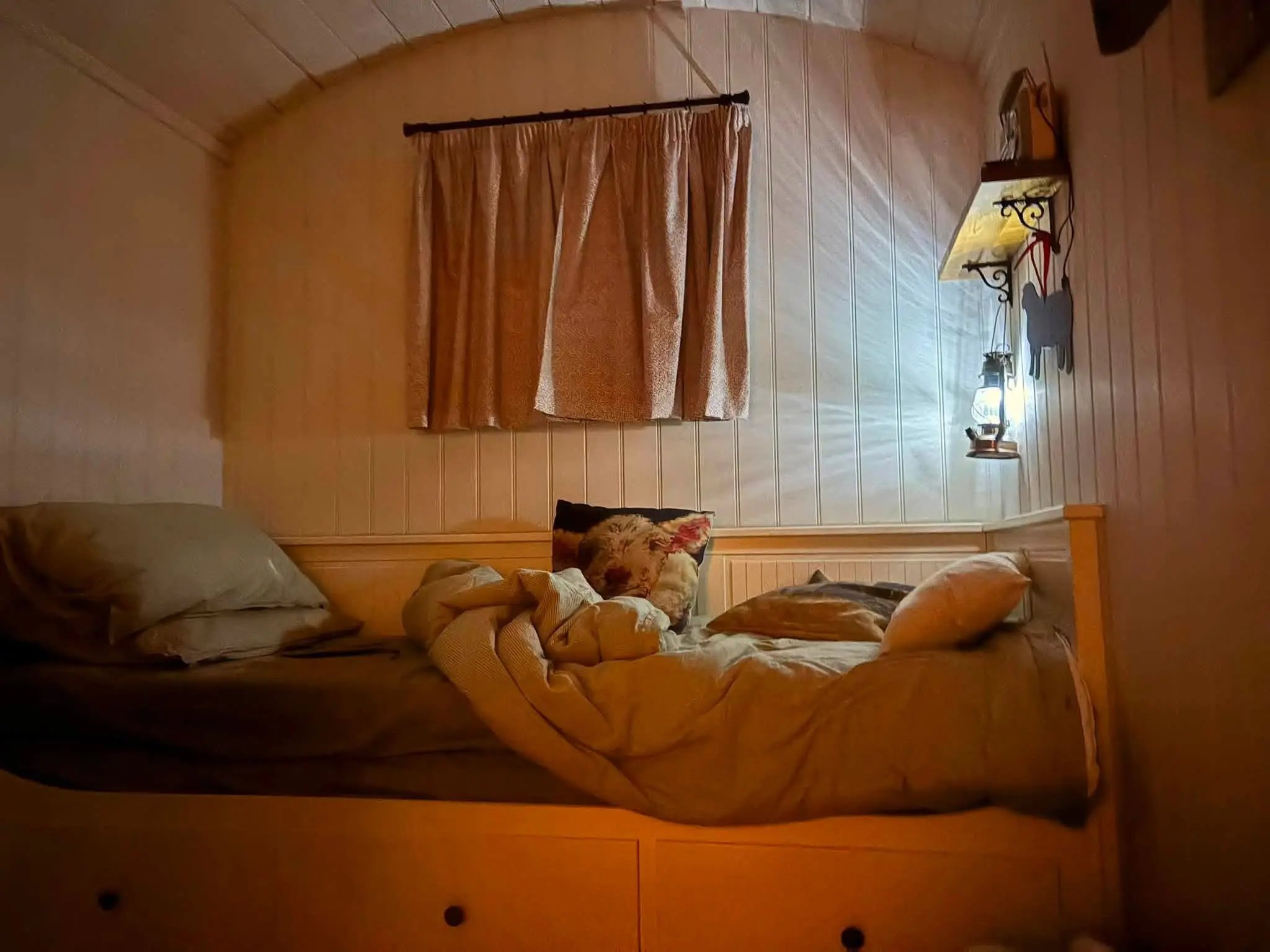 Retreat and animal farm, Essex - Thumbnail 12
