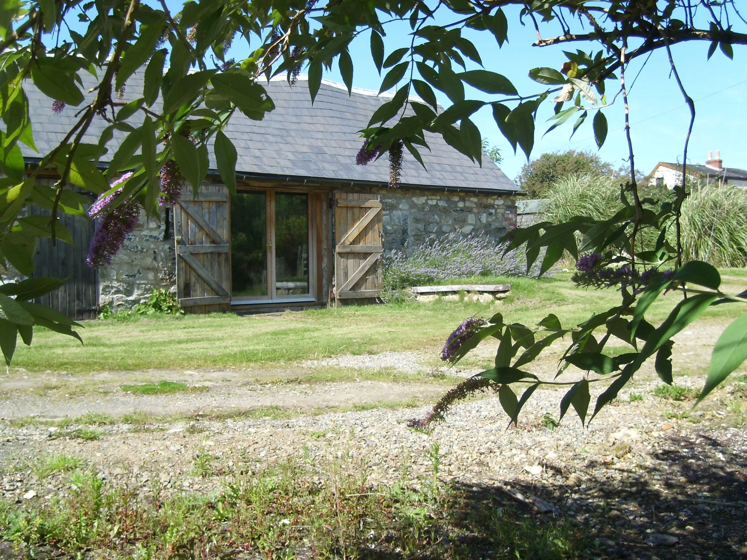 Pembrokeshire coast ancient smallholding - Thumbnail 6