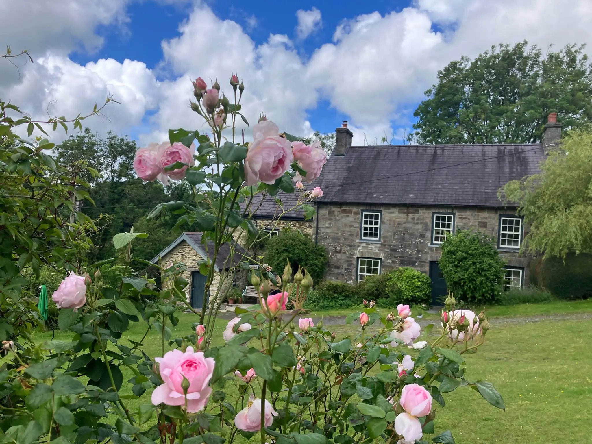 Farmstay and barn restoration, Wales - Thumbnail 33