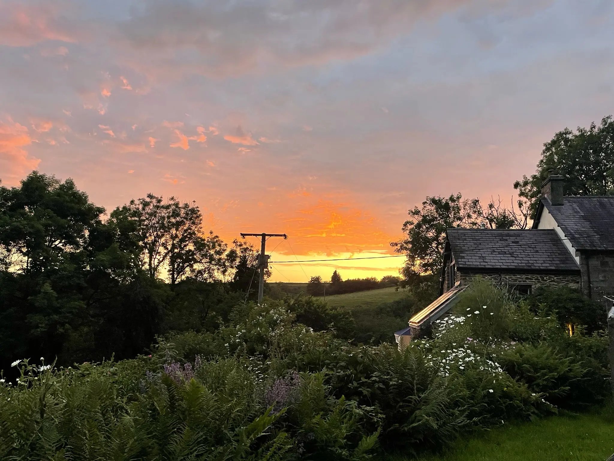 Farmstay and barn restoration, Wales - Thumbnail 35