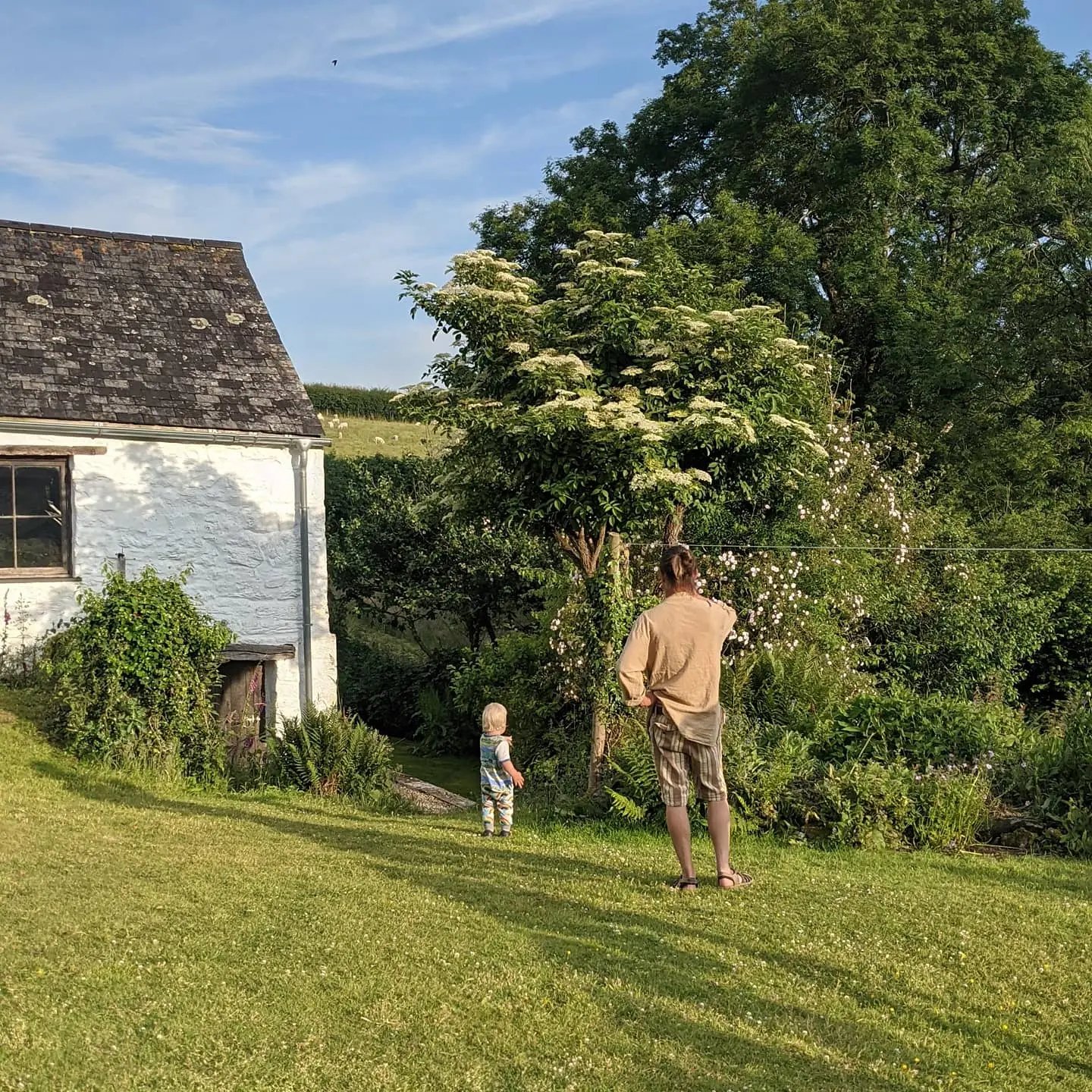 Farmstay and barn restoration, Wales - Thumbnail 7