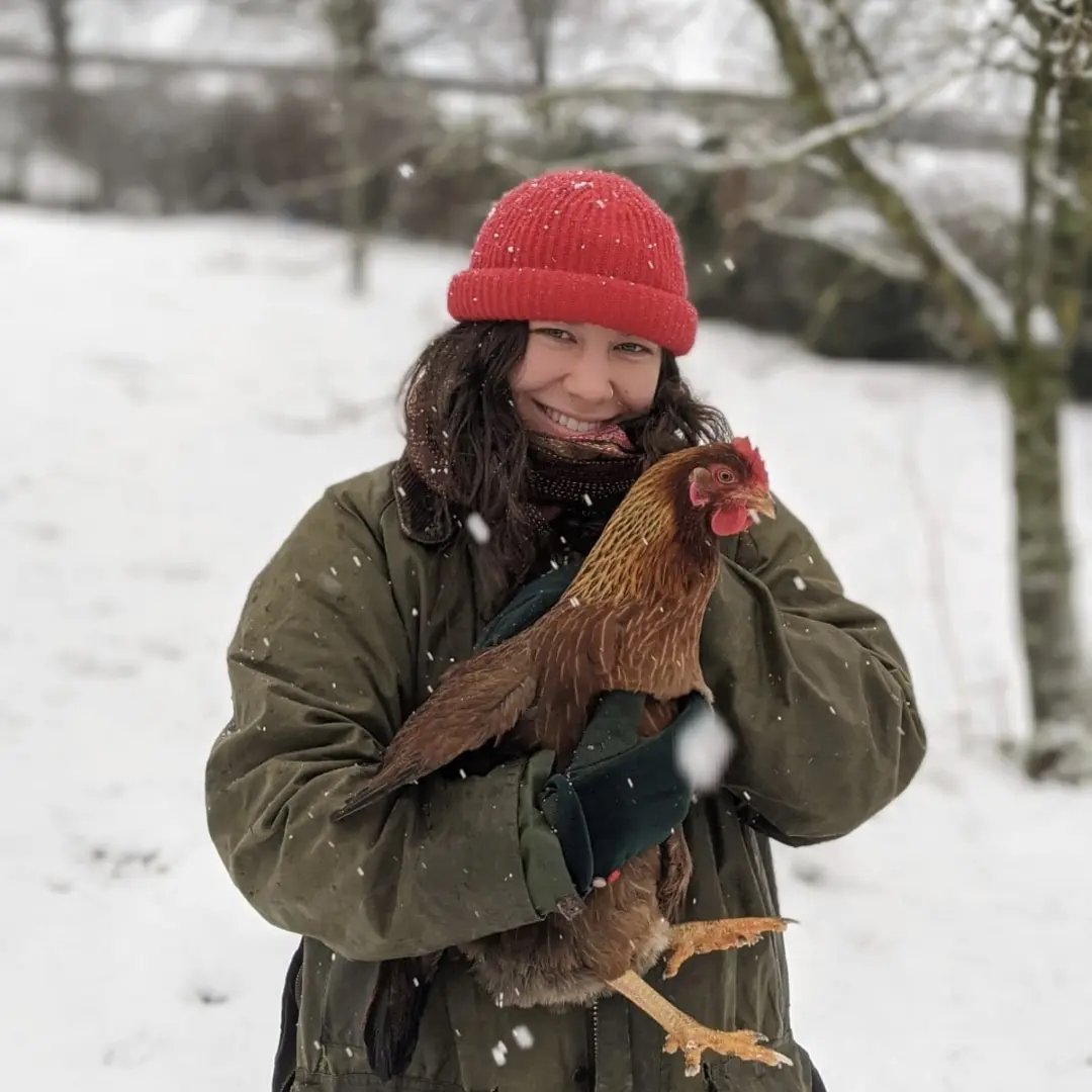 Farmstay and barn restoration, Wales - Thumbnail 8
