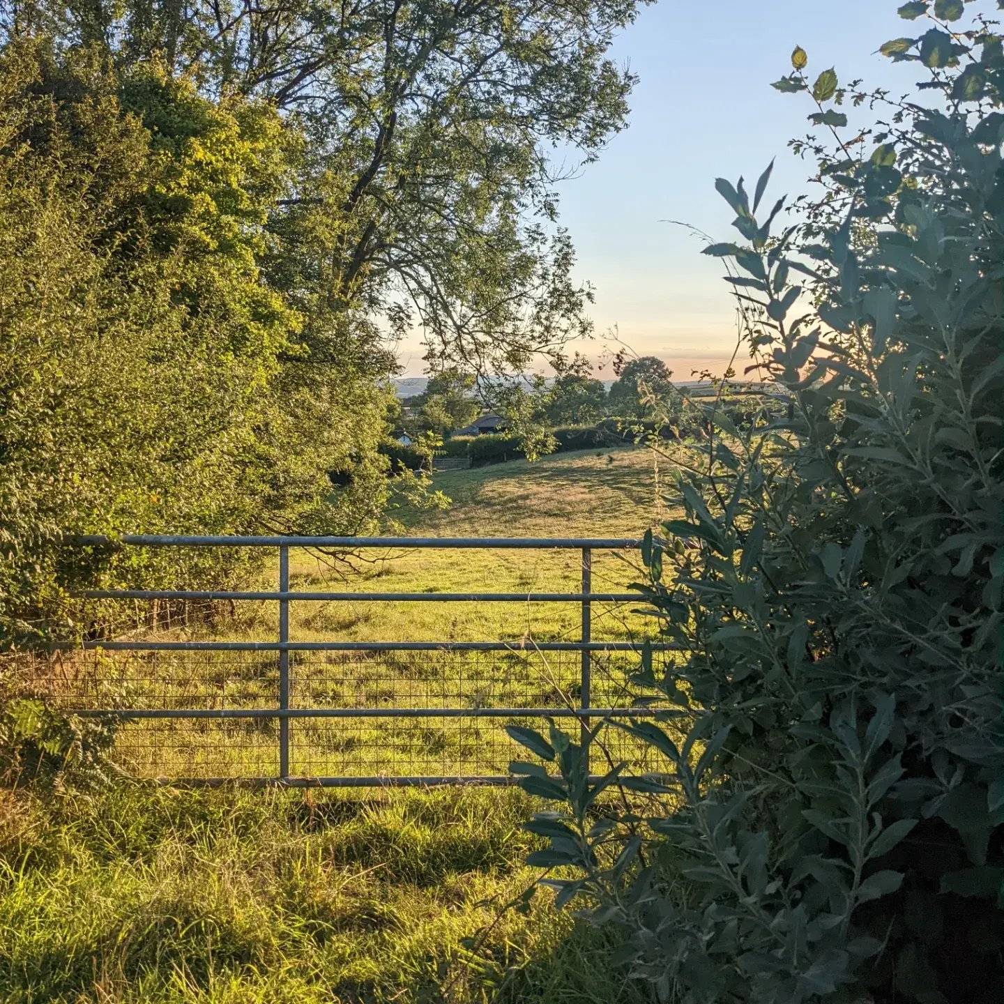 Farmstay and barn restoration, Wales - Thumbnail 21