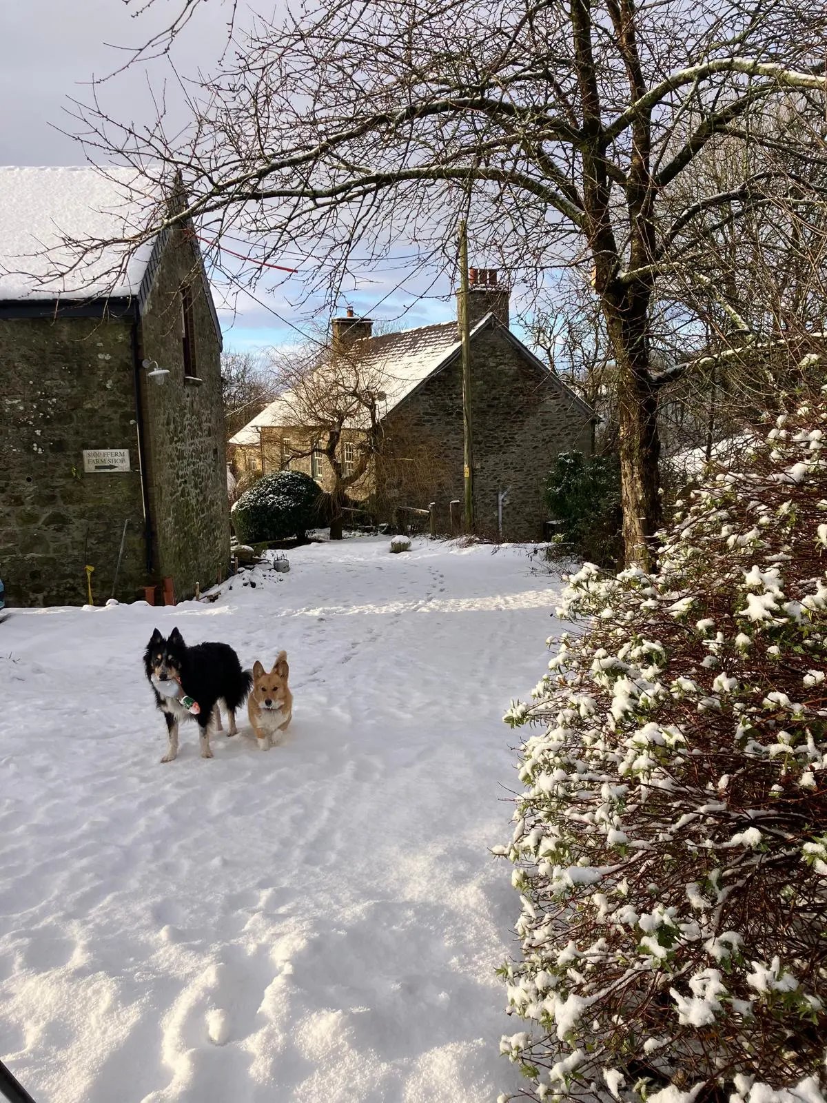 Farmstay and barn restoration, Wales - Thumbnail 39