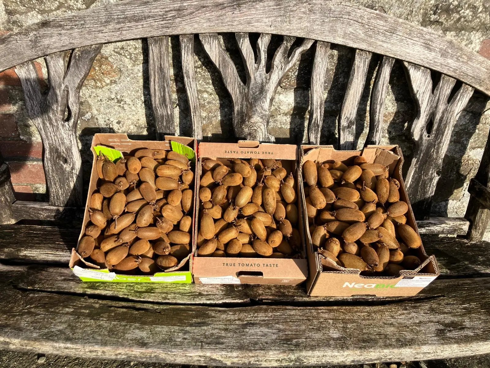 Farmstay and barn restoration, Wales - Thumbnail 43