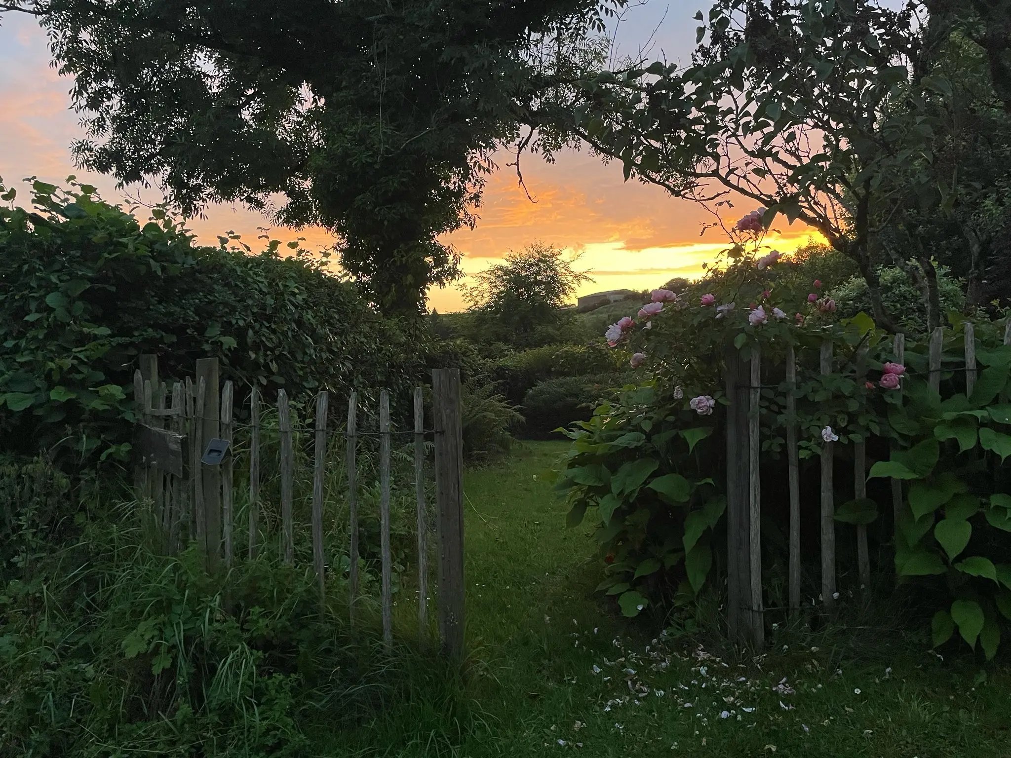 Farmstay and barn restoration, Wales - Thumbnail 36