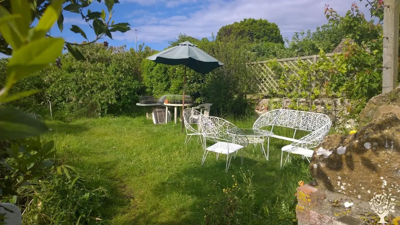 Organic homestay on a Dorset Farm - Thumbnail 4