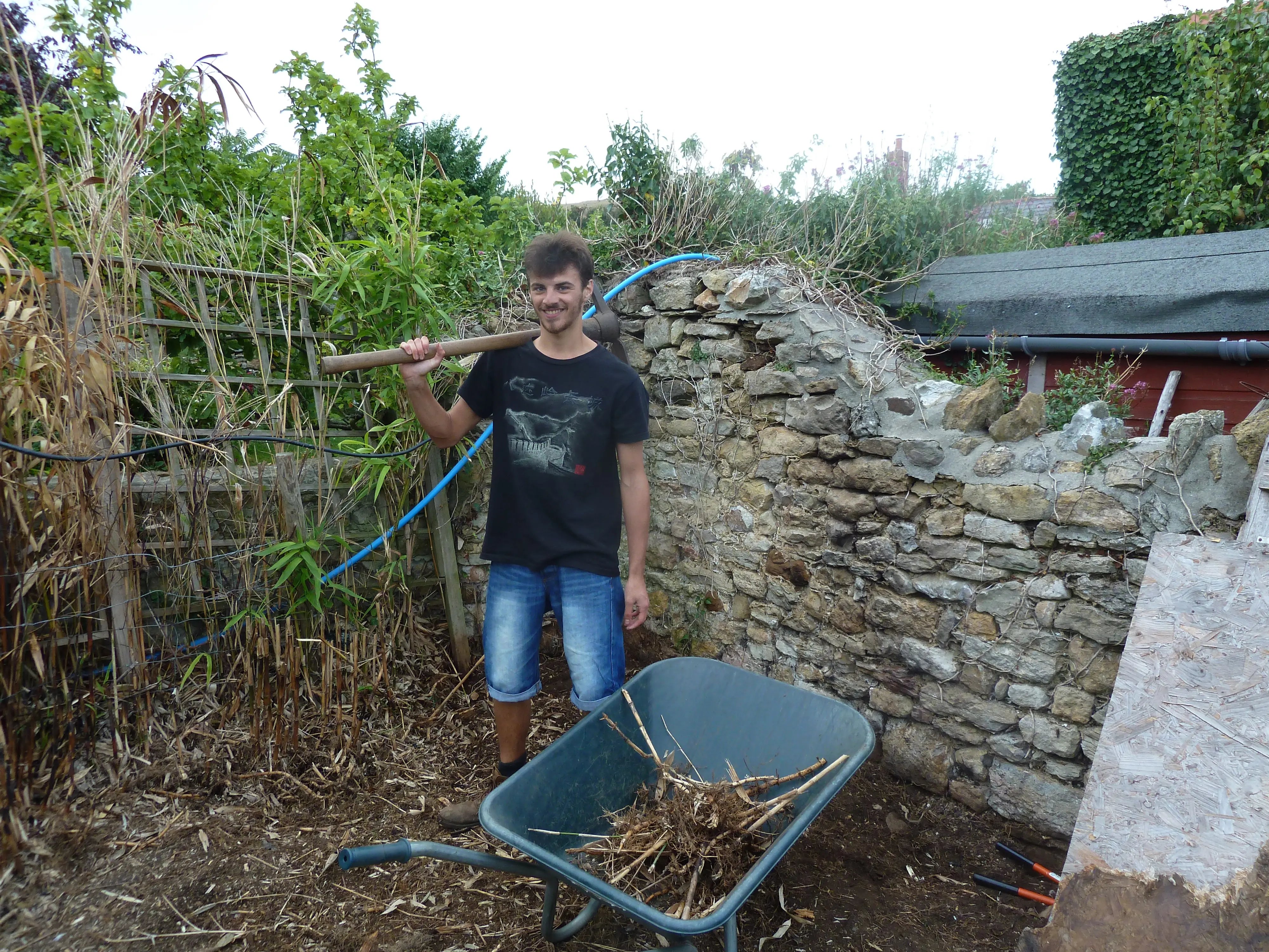 Organic homestay on a Dorset Farm - Thumbnail 7