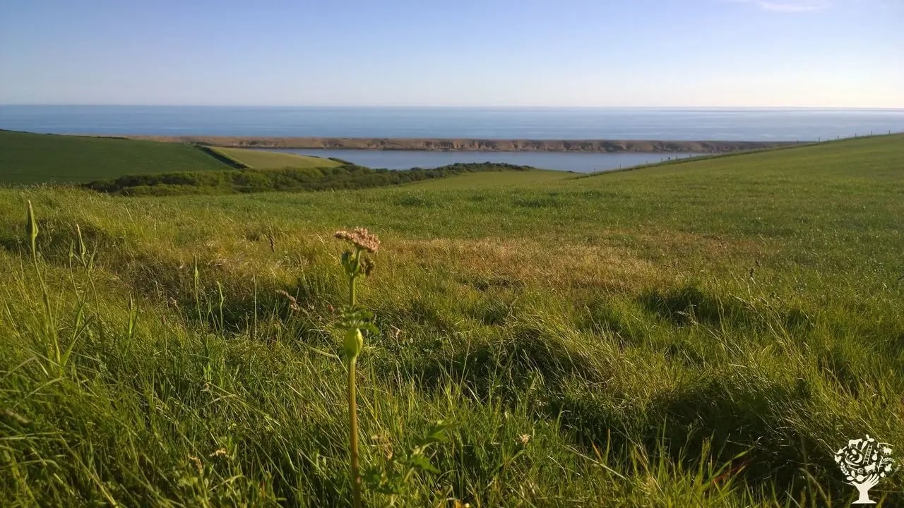 Organic homestay on a Dorset Farm - Thumbnail 2