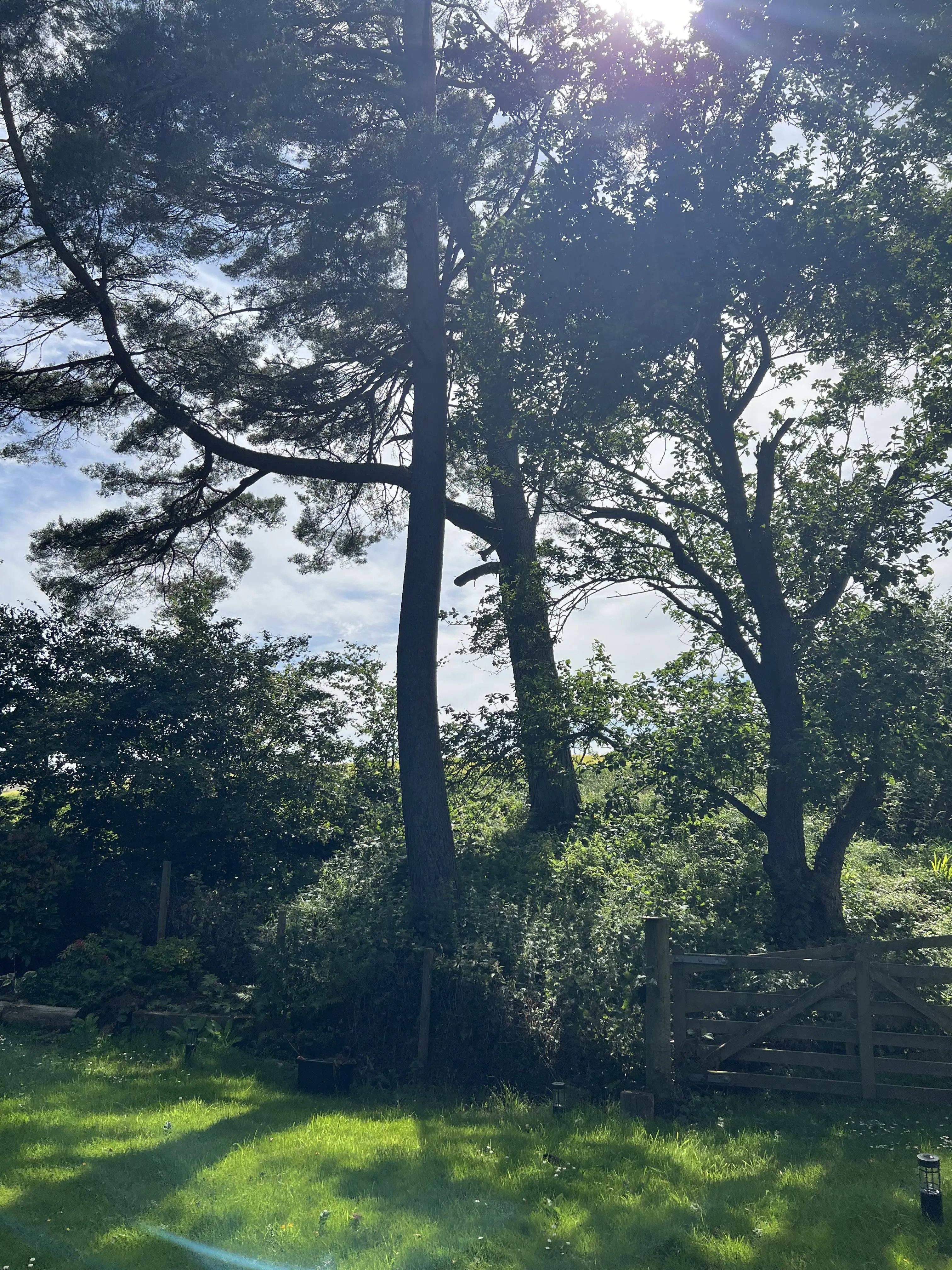 Help at a Rural Cottage, Scotland - Thumbnail 7