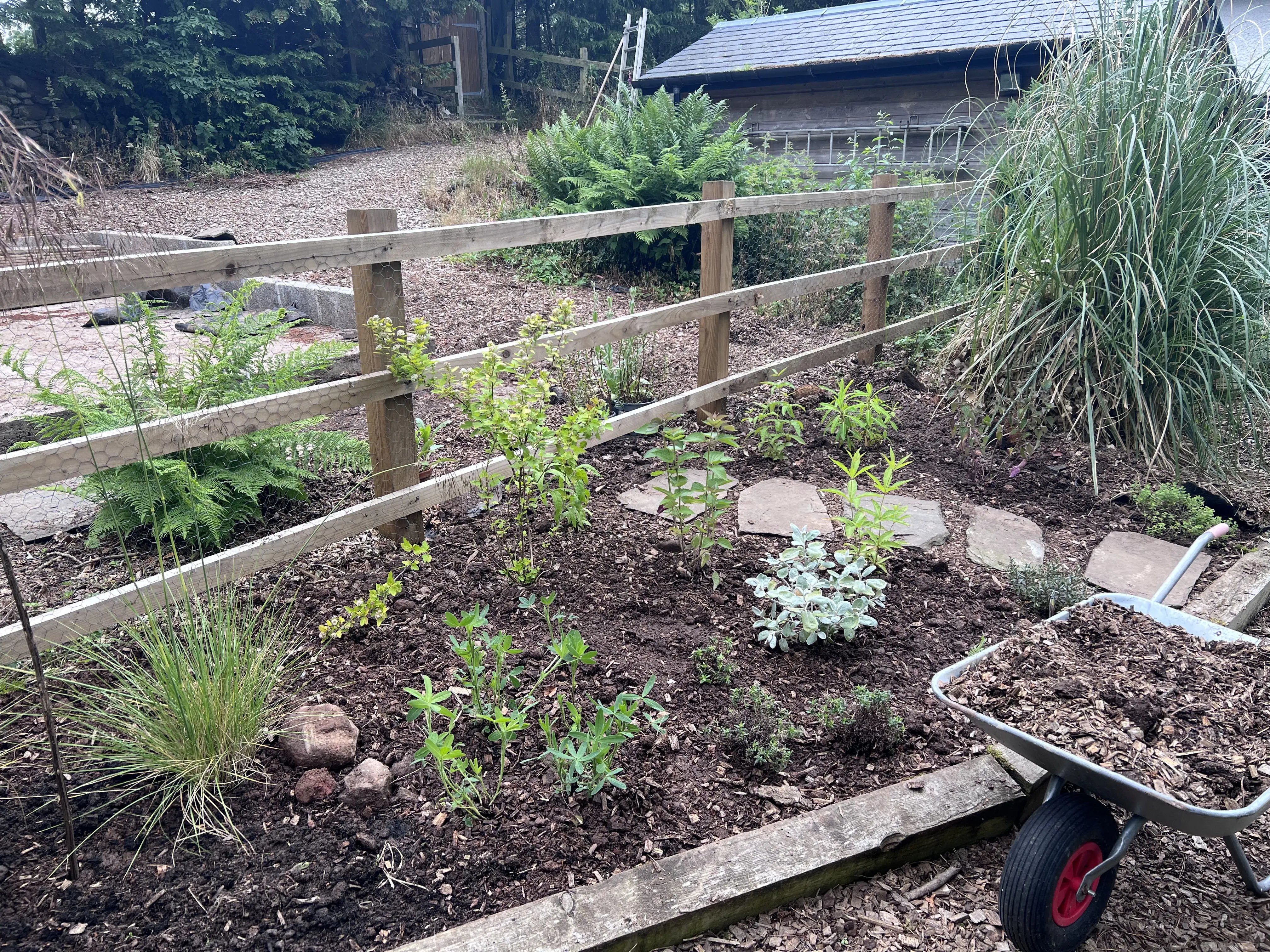 Help at a Rural Cottage, Scotland - Thumbnail 10