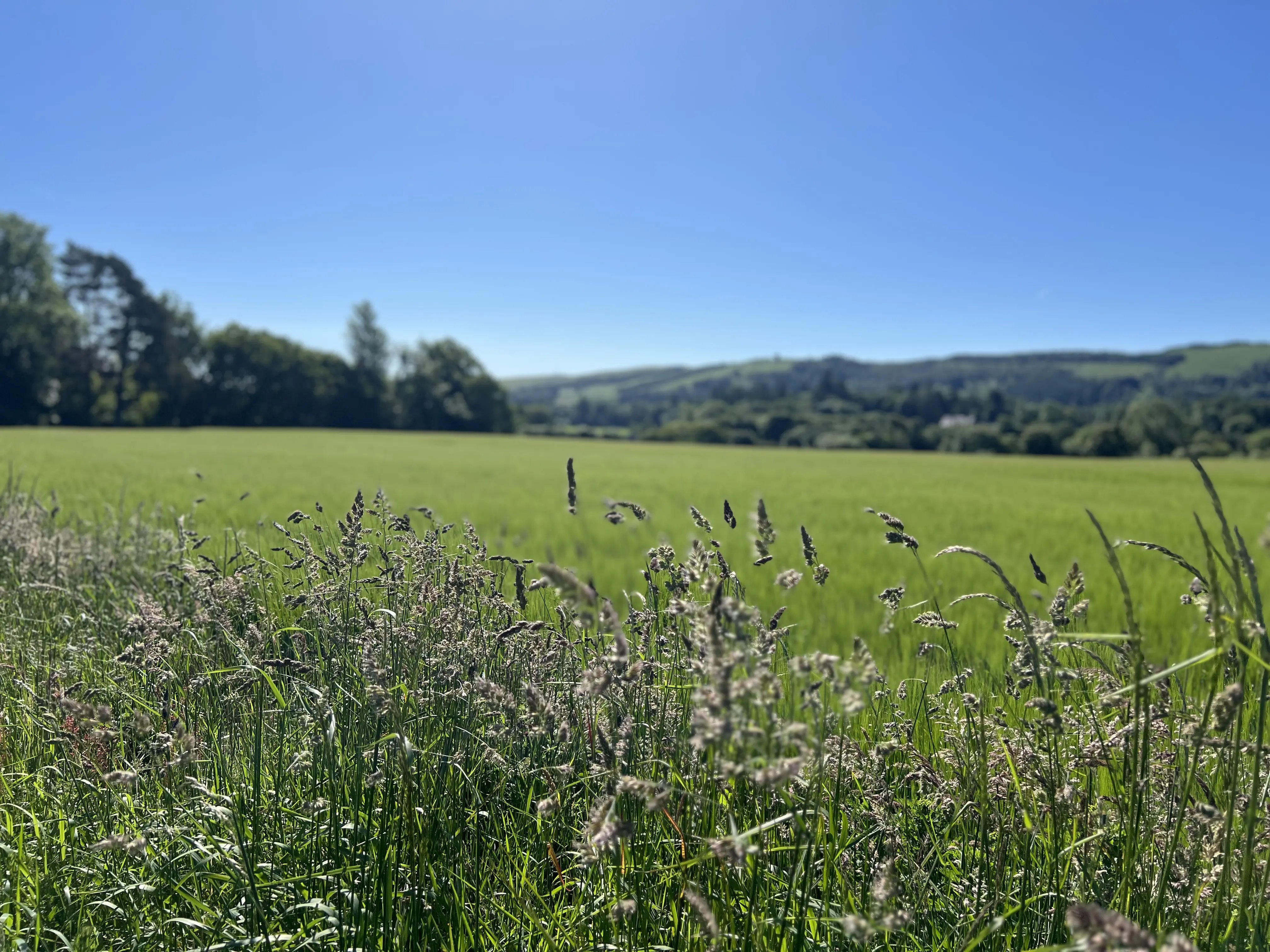 Help at a Rural Cottage, Scotland - Thumbnail 12